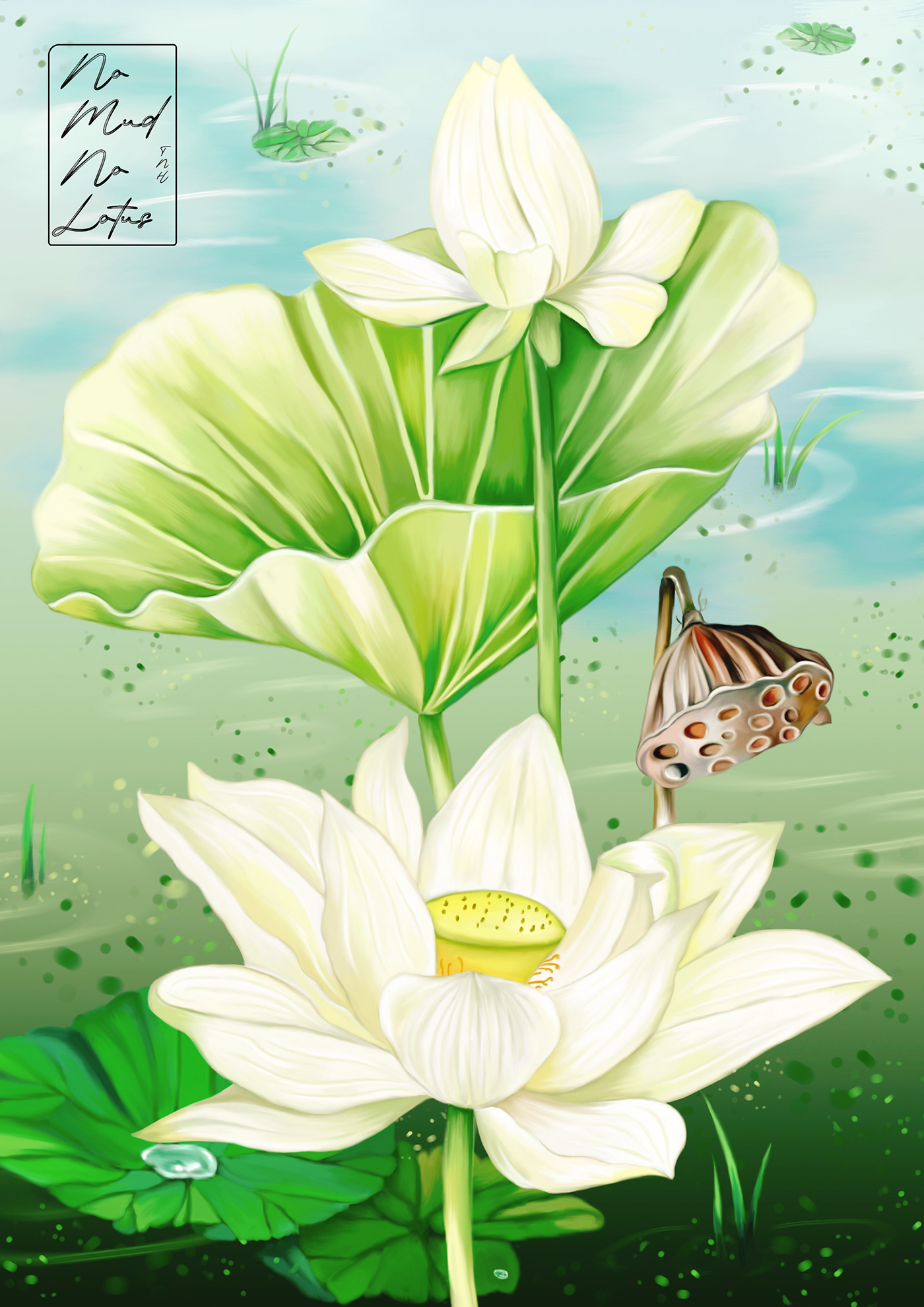 art Digital Art  digital painting Drawing  flower graphic design  ILLUSTRATION  Lotus Nature painting  