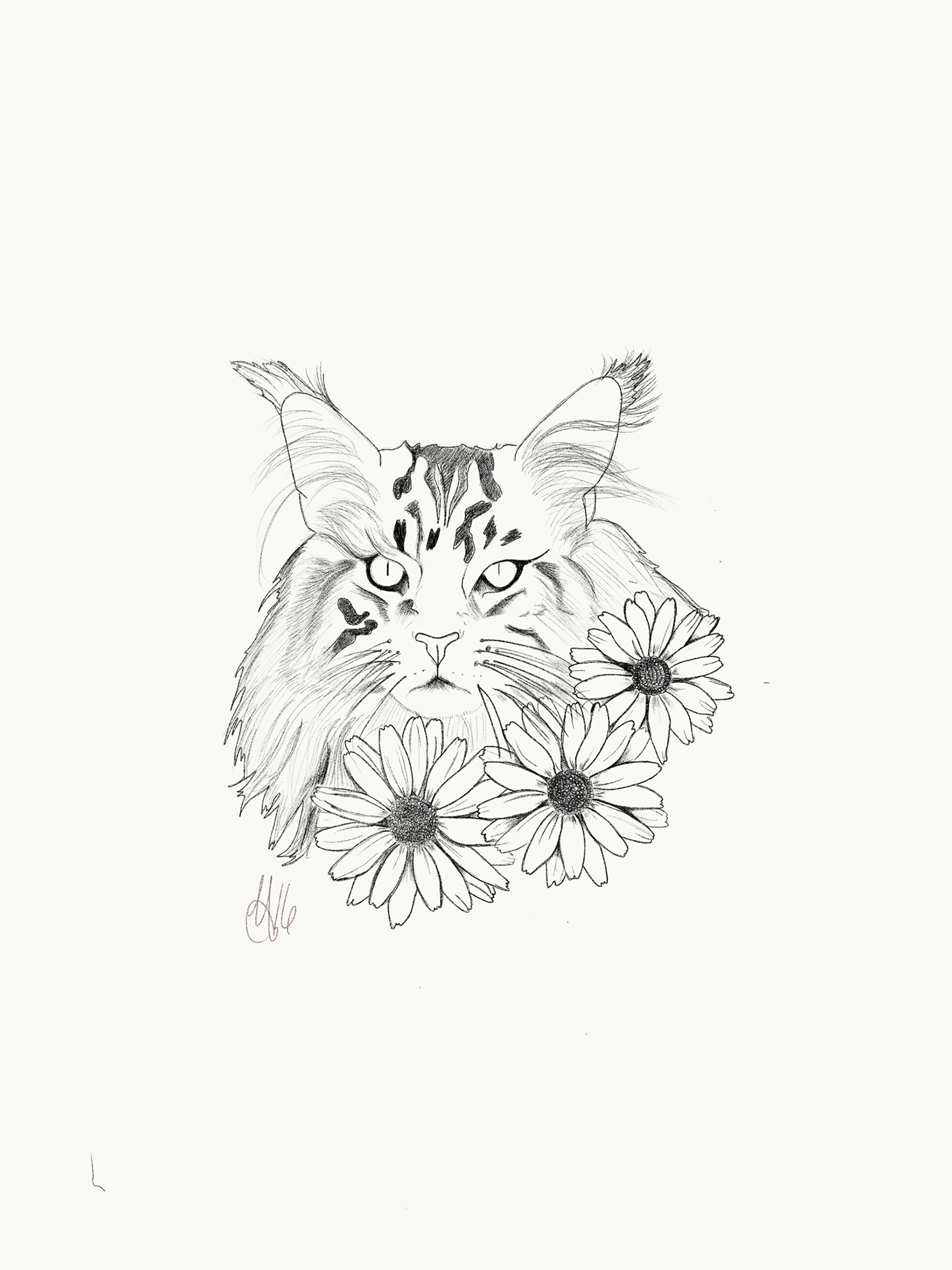 kitten Cat daisy slight color Tattoo Idea