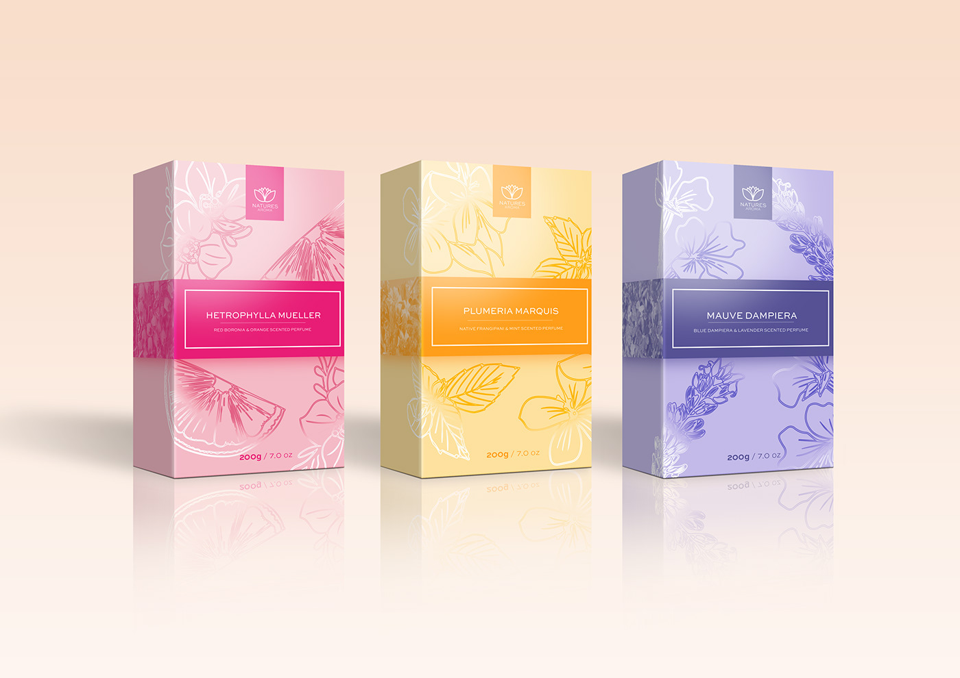 brand identity design Fragrance graphic design  package design  Packaging perfume perfume packaging spot color typography  