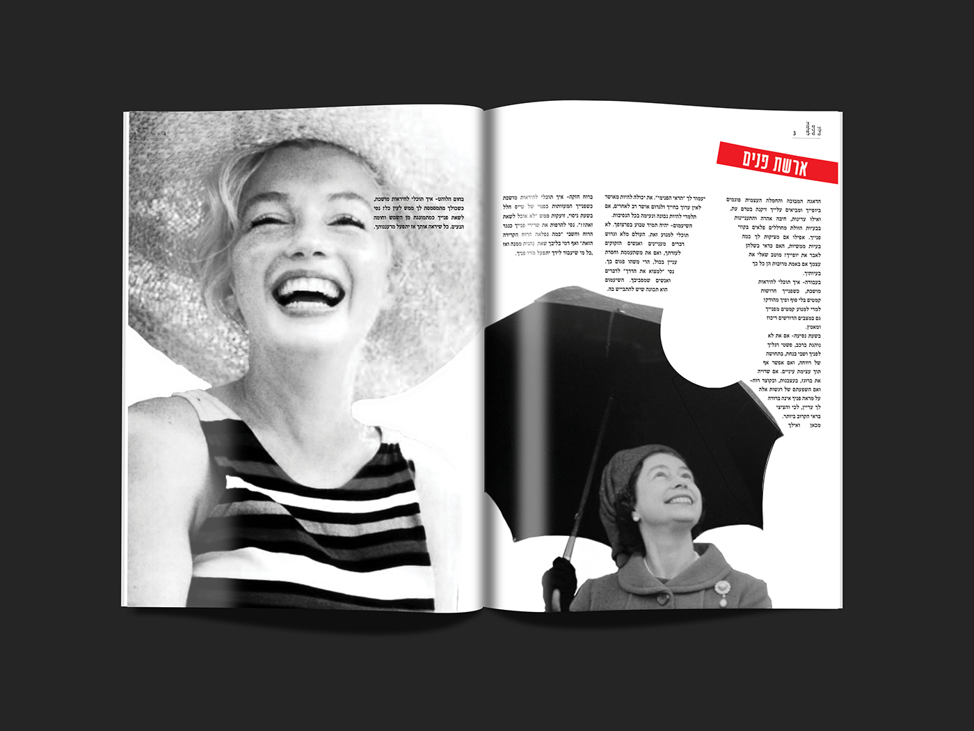 dictionary woman beauty magazine aesthetic Values