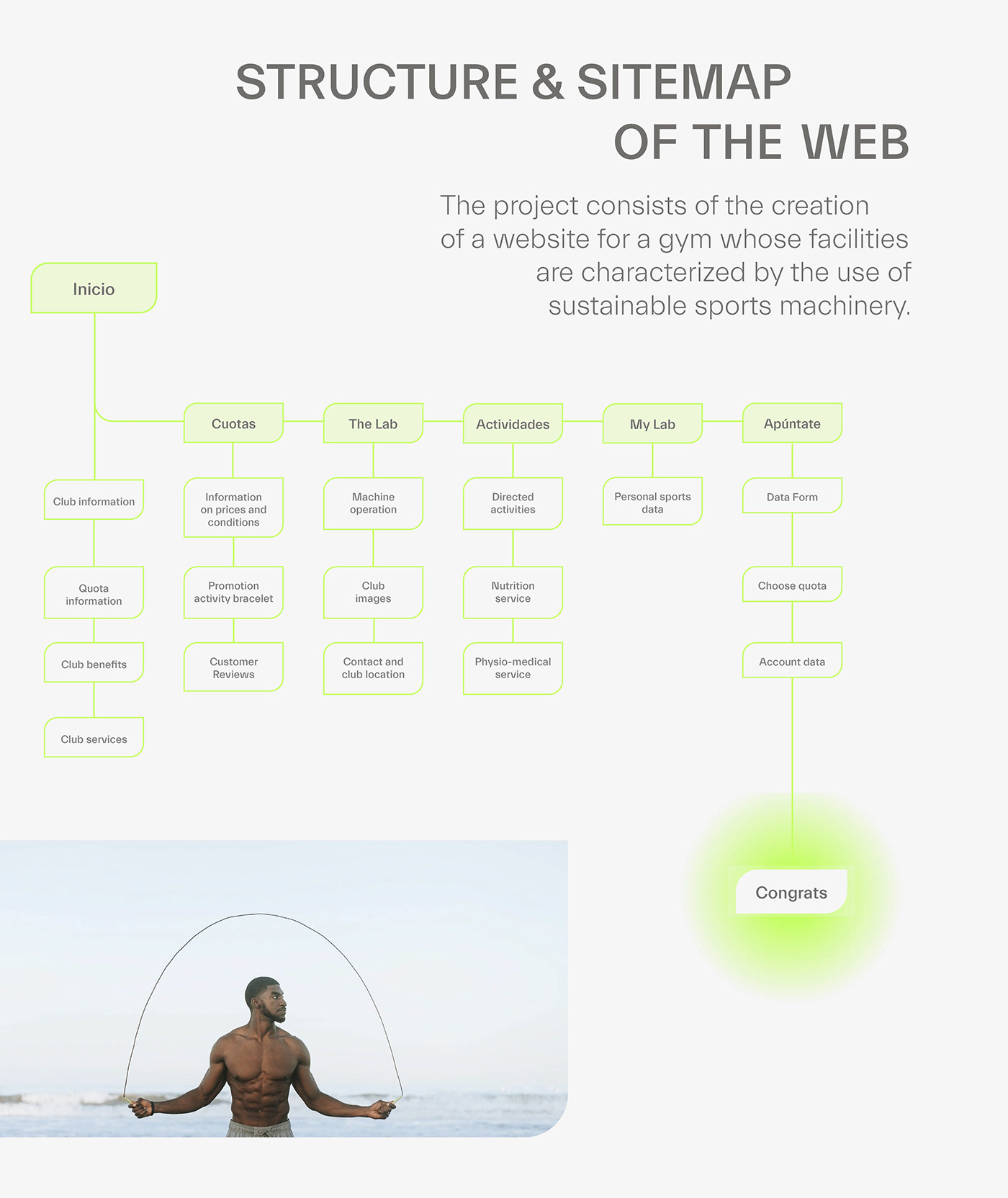 branding  gym Interface Sustainable UI ux ux/ui Web Web Design  Website
