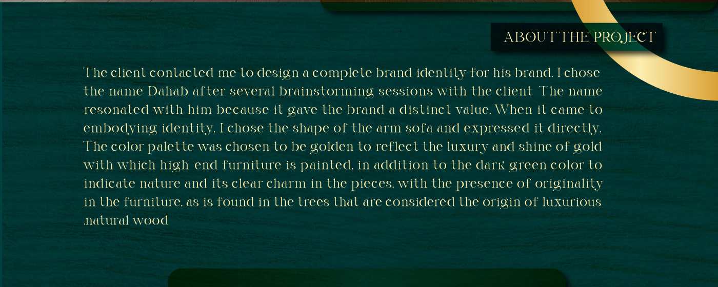 logo brand identity Logo Design visual identity Advertising  Graphic Designer Brand Design identity brand logos