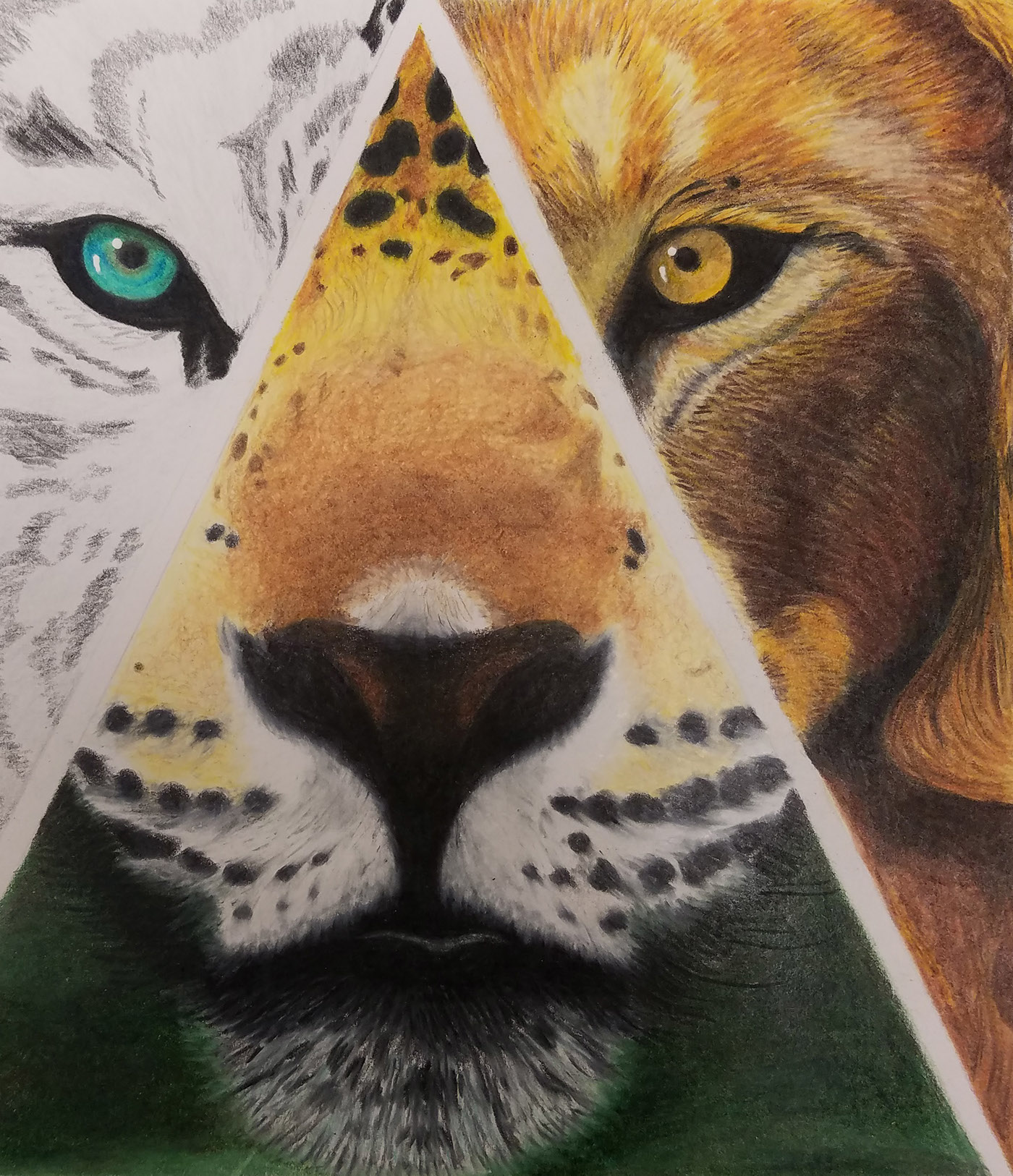 ILLUSTRATION  tiger lion cheetah collage