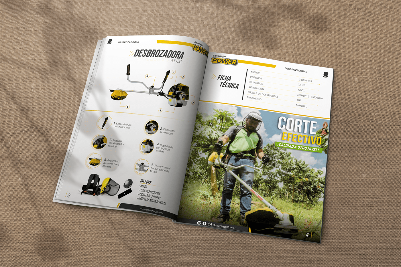 brochure catalog catalogo diagramación diseño Diseño editorial diseño gráfico folleto publicidad revista
