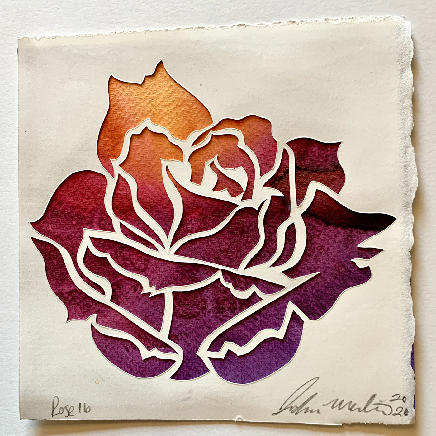 art for peace compassion Drawing  painting   papercut plants rose watercolor