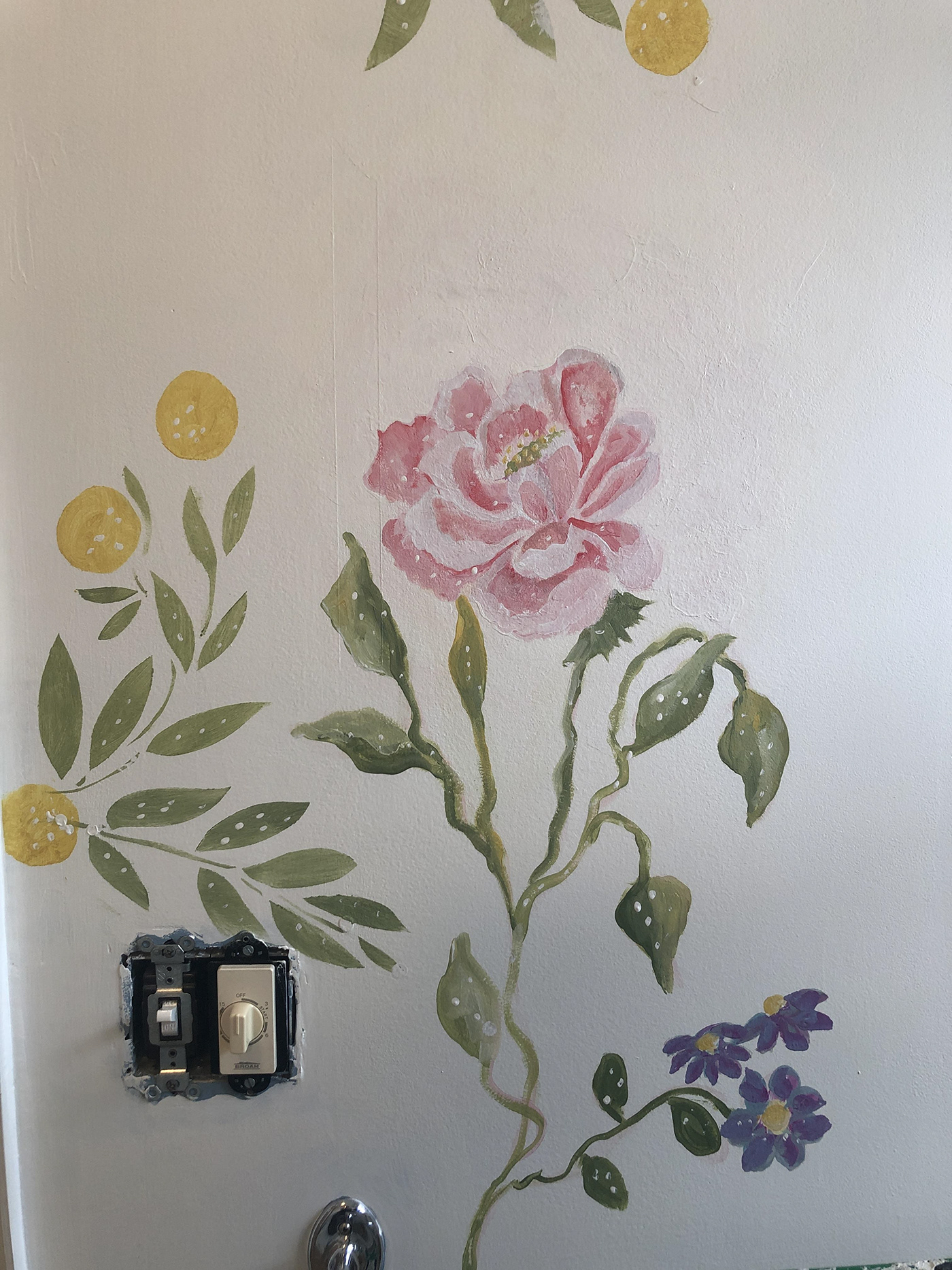 Murals decorative finishes
