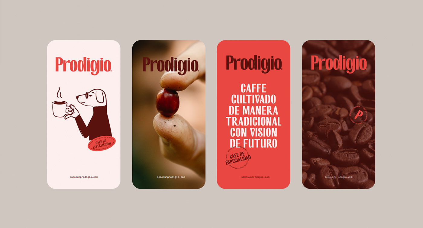 Coffee colombia españa spain brand identity branding  visual identity graphic design  naming dog