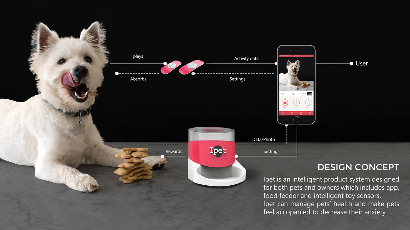 Internet of Things pets