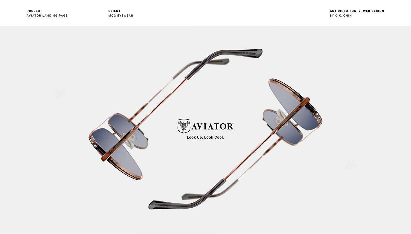 Aviator designer elementor kuala lumpur landing page malaysia microsite Sunglasses Website Design wordpress