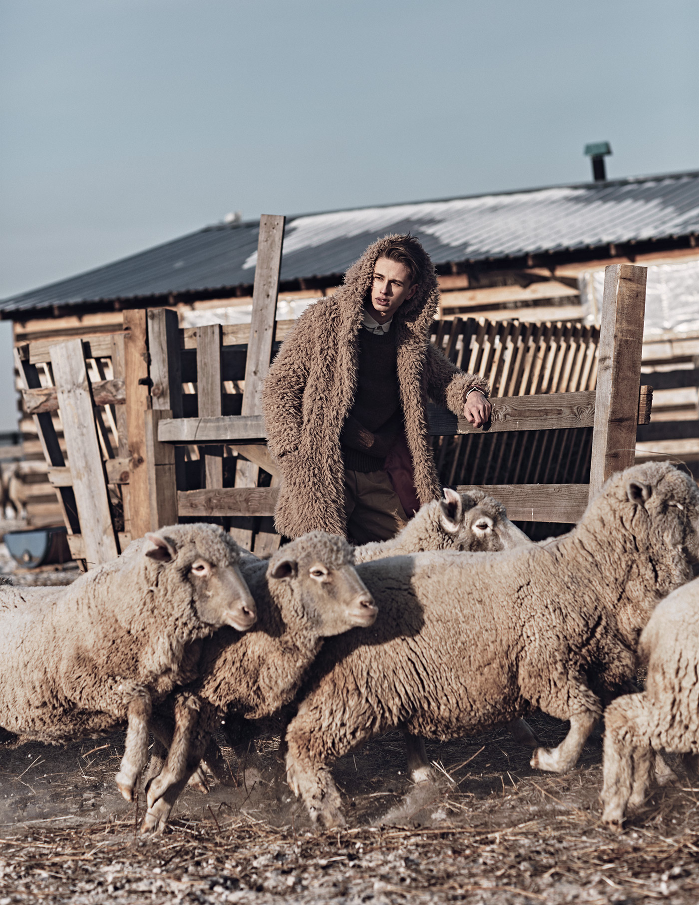 editorial Fashion  sheep Shepherd shepherdness farm isnovikov village rustic country