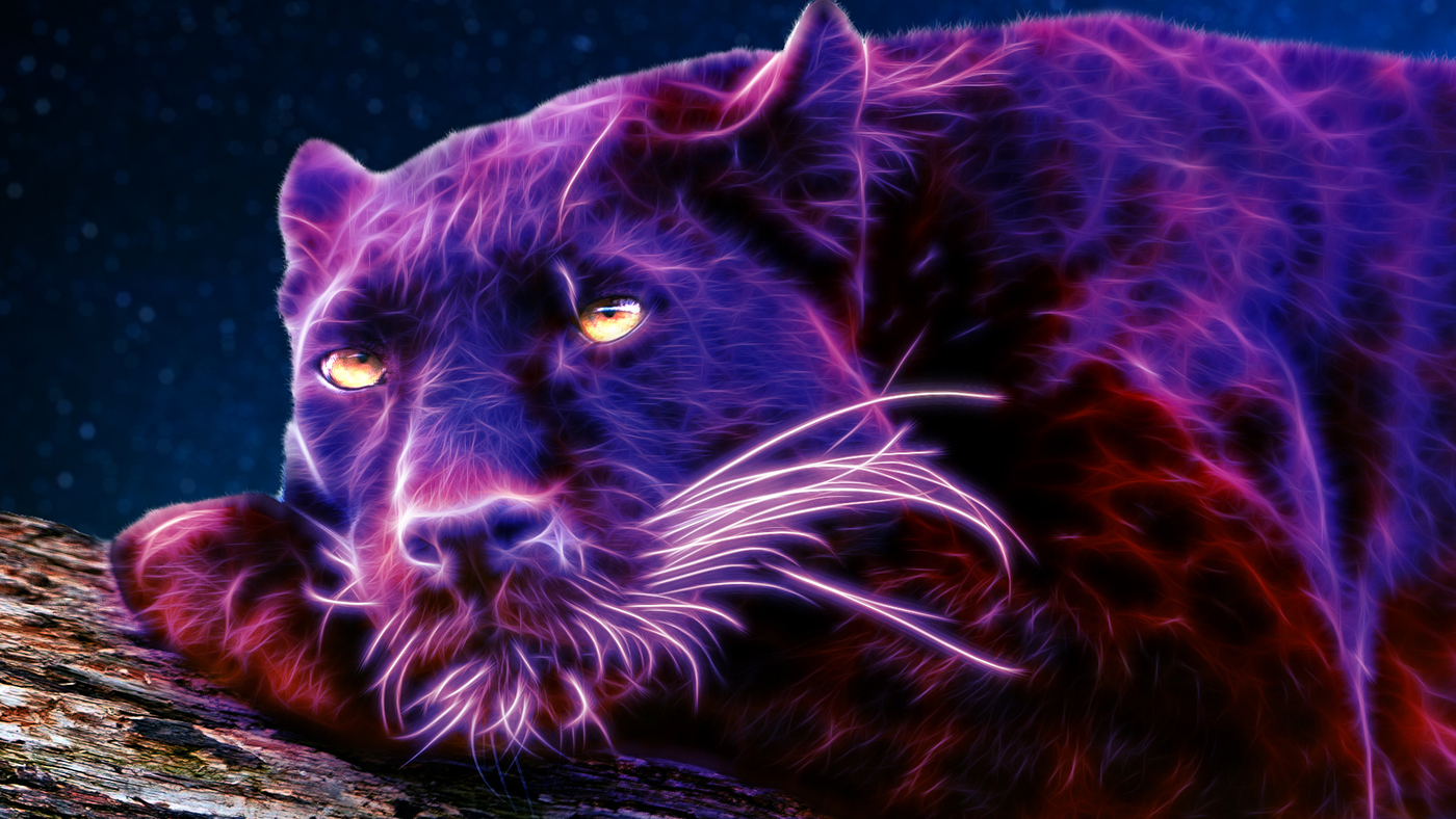 aurora panther Cat night sleep glow fractal bright purple dream spirit