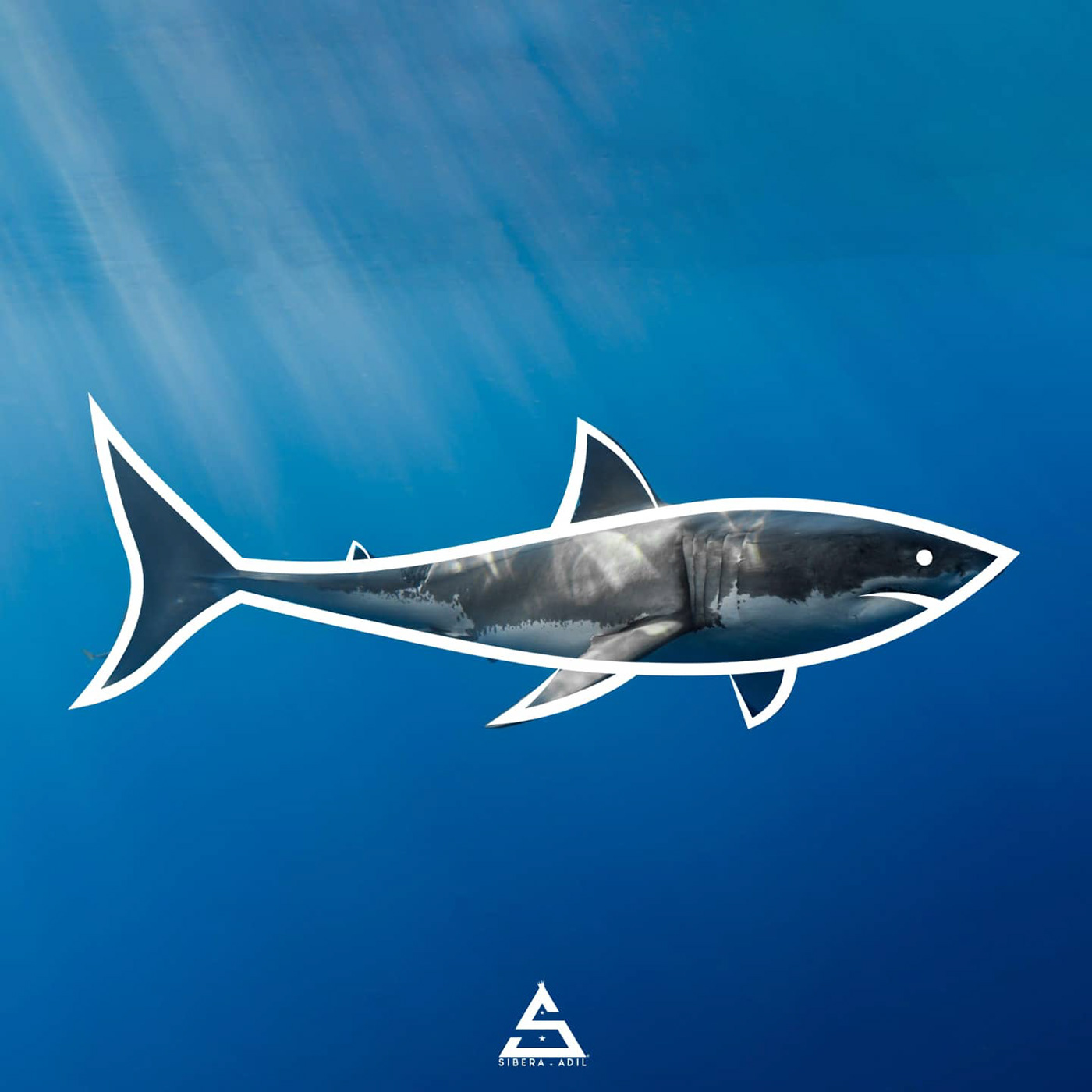 logo Design animals Shark