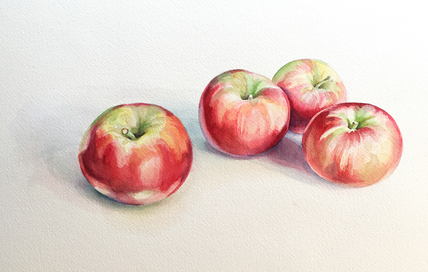 apples apple painting   watercolor red watercolour