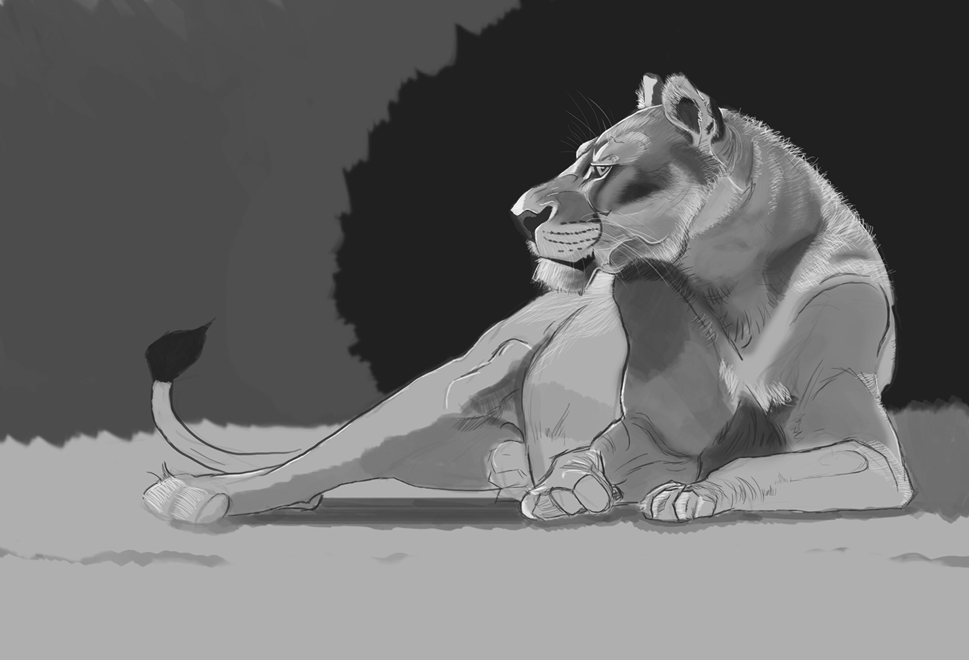 sketch lioness draw digital painting Aaron blaise inspiration