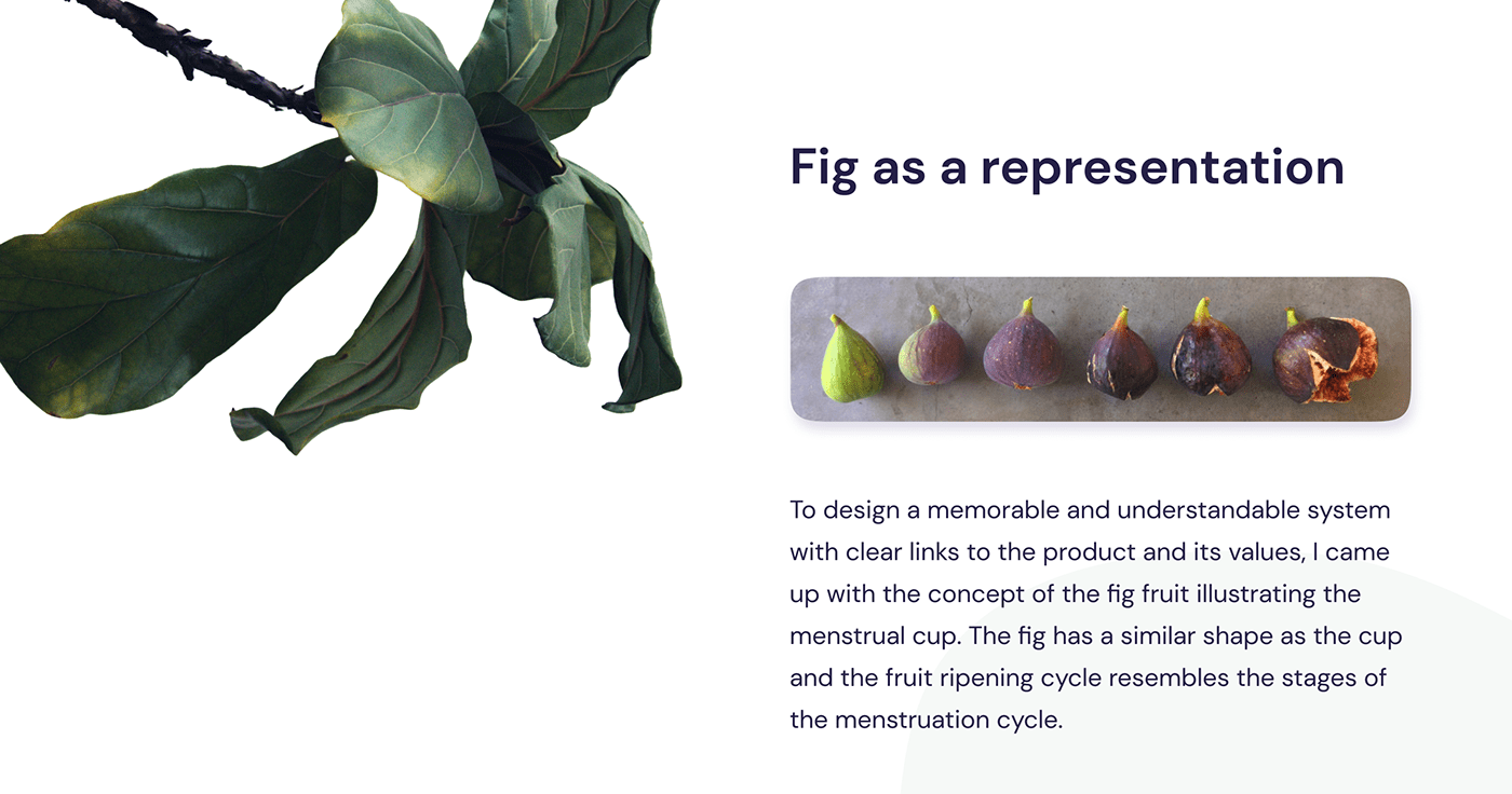 Fig as a representation