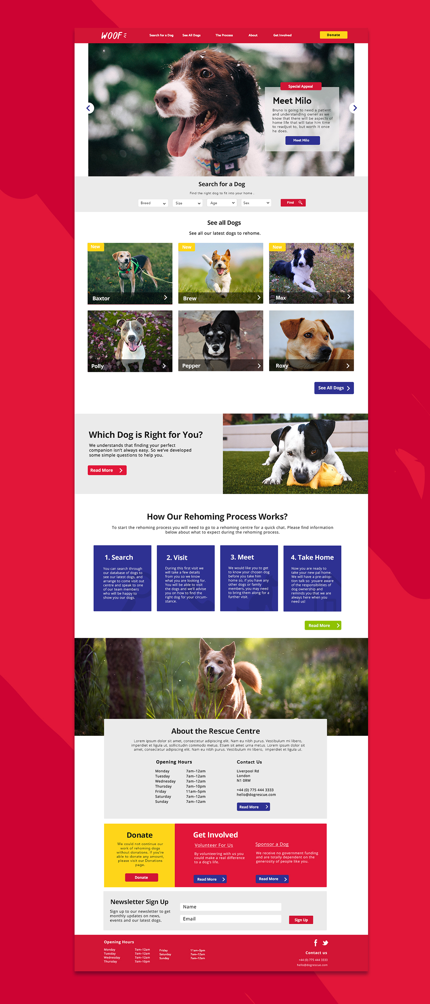 Pet branding  rescue red Website logo Patterns Hand-lettered dog animal