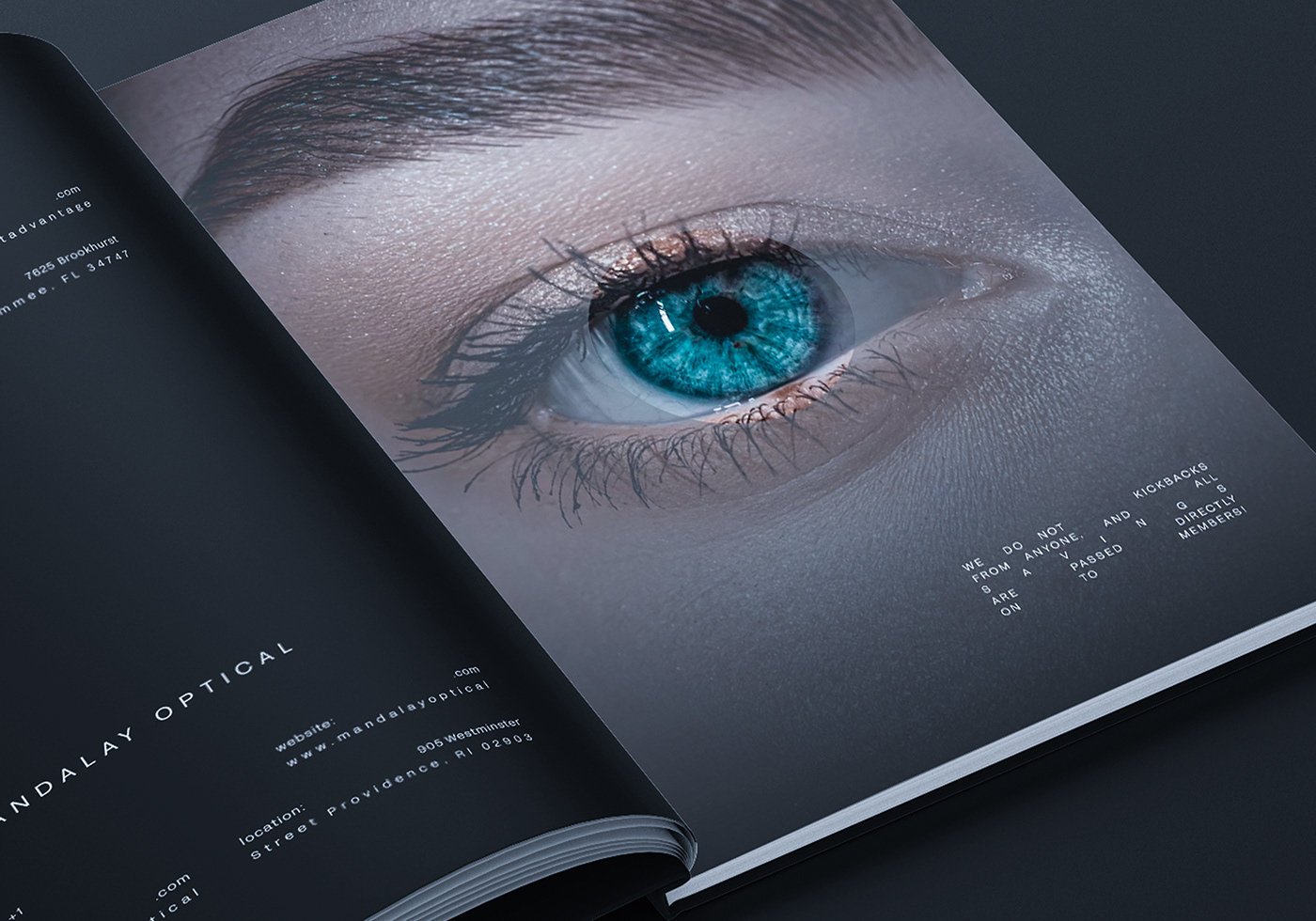 book brochure cover editorial eyes journal lens magazine print typography  