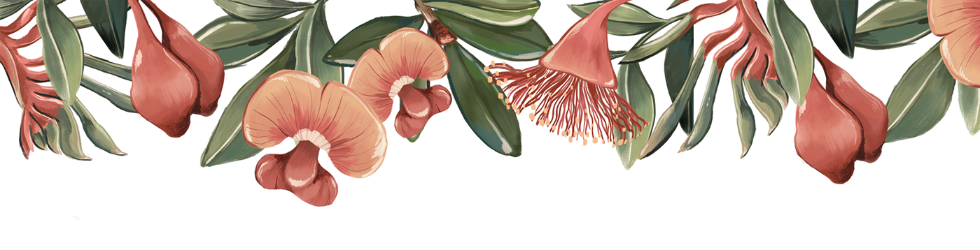 Australia botanical Estampa Flora ILLUSTRATION  Nature Opera House pattern print surface design