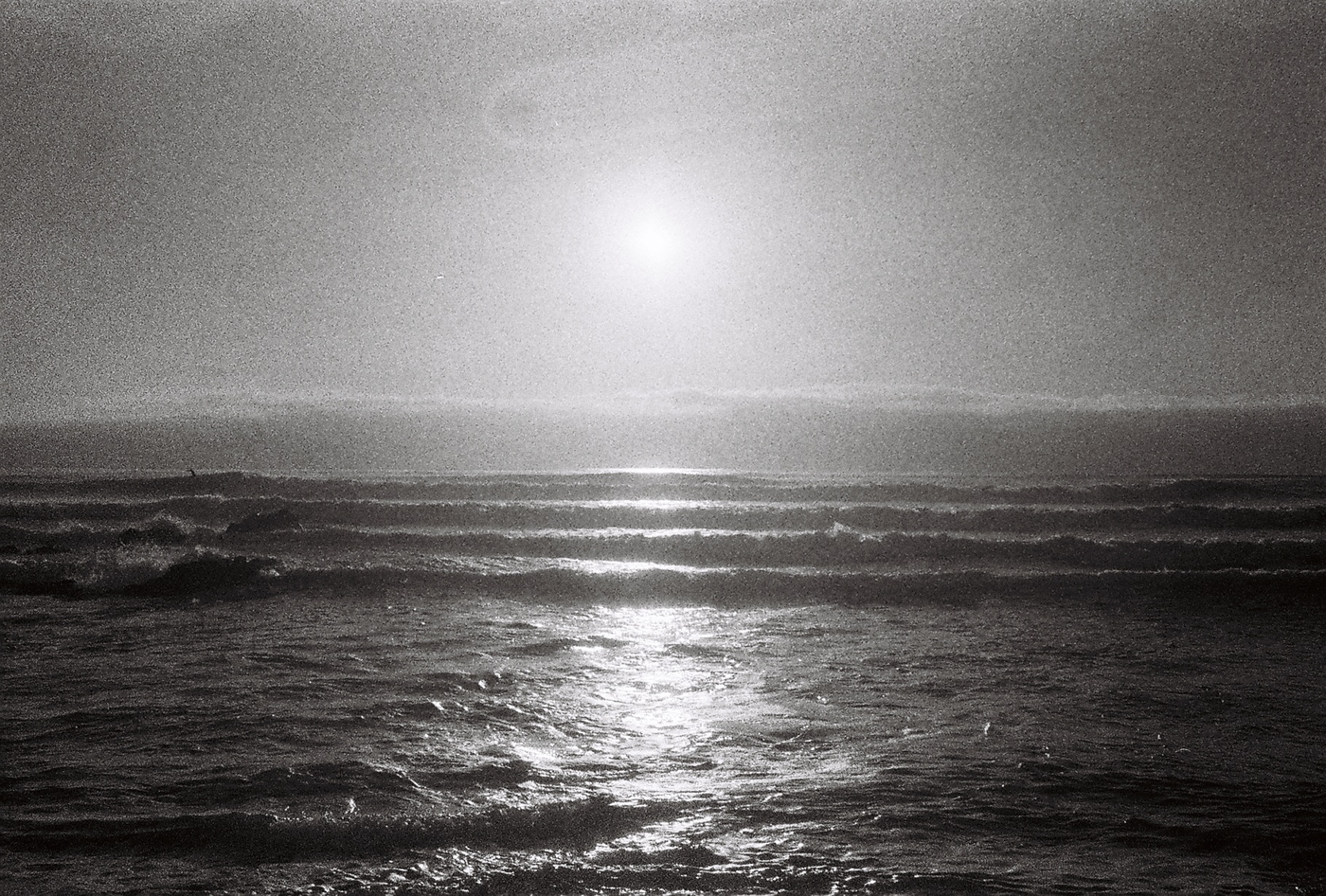 film photography summer 35mm brittany west coast horses waves Surf