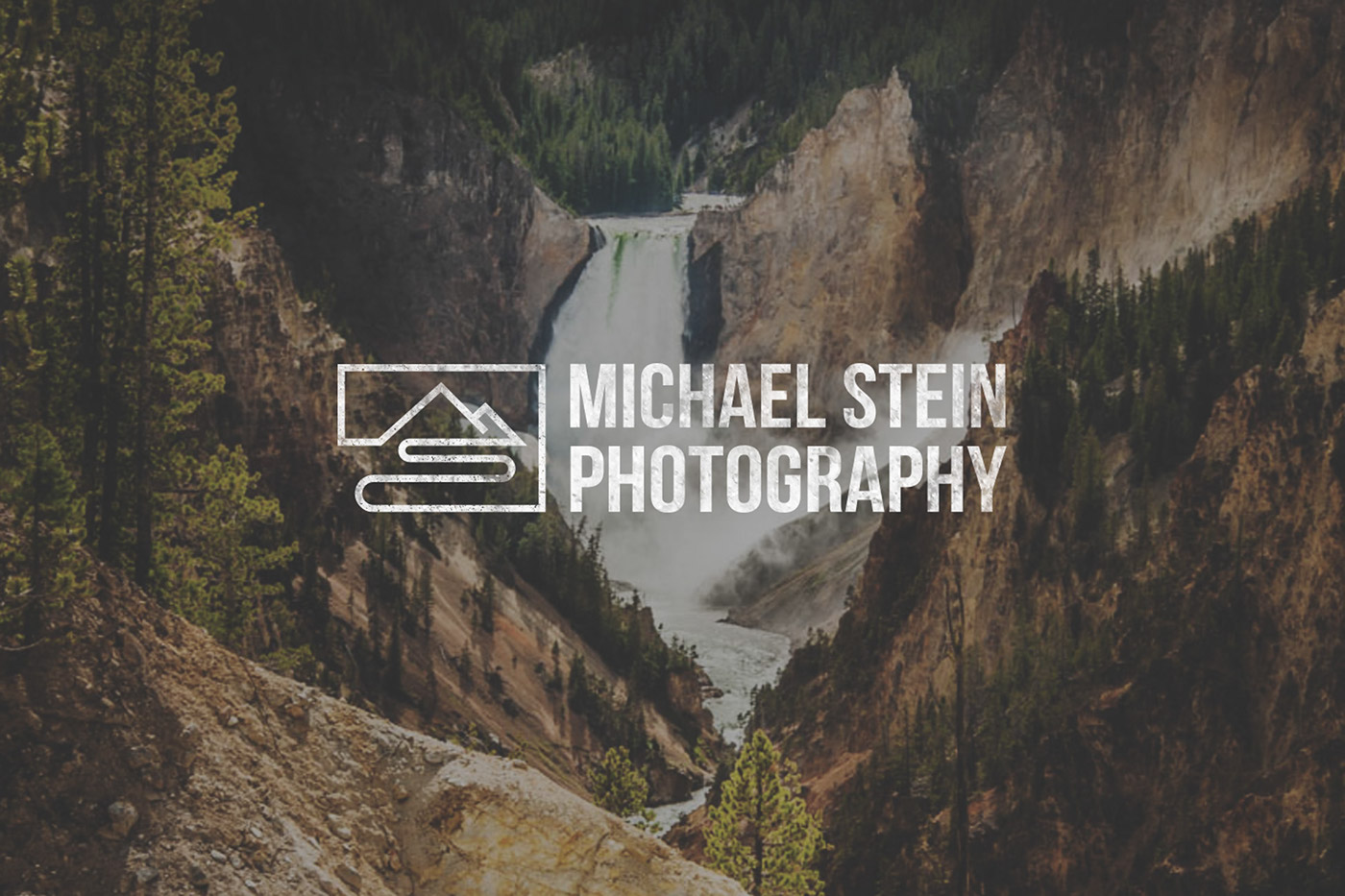 photographer Photography  michael stein logo branding 