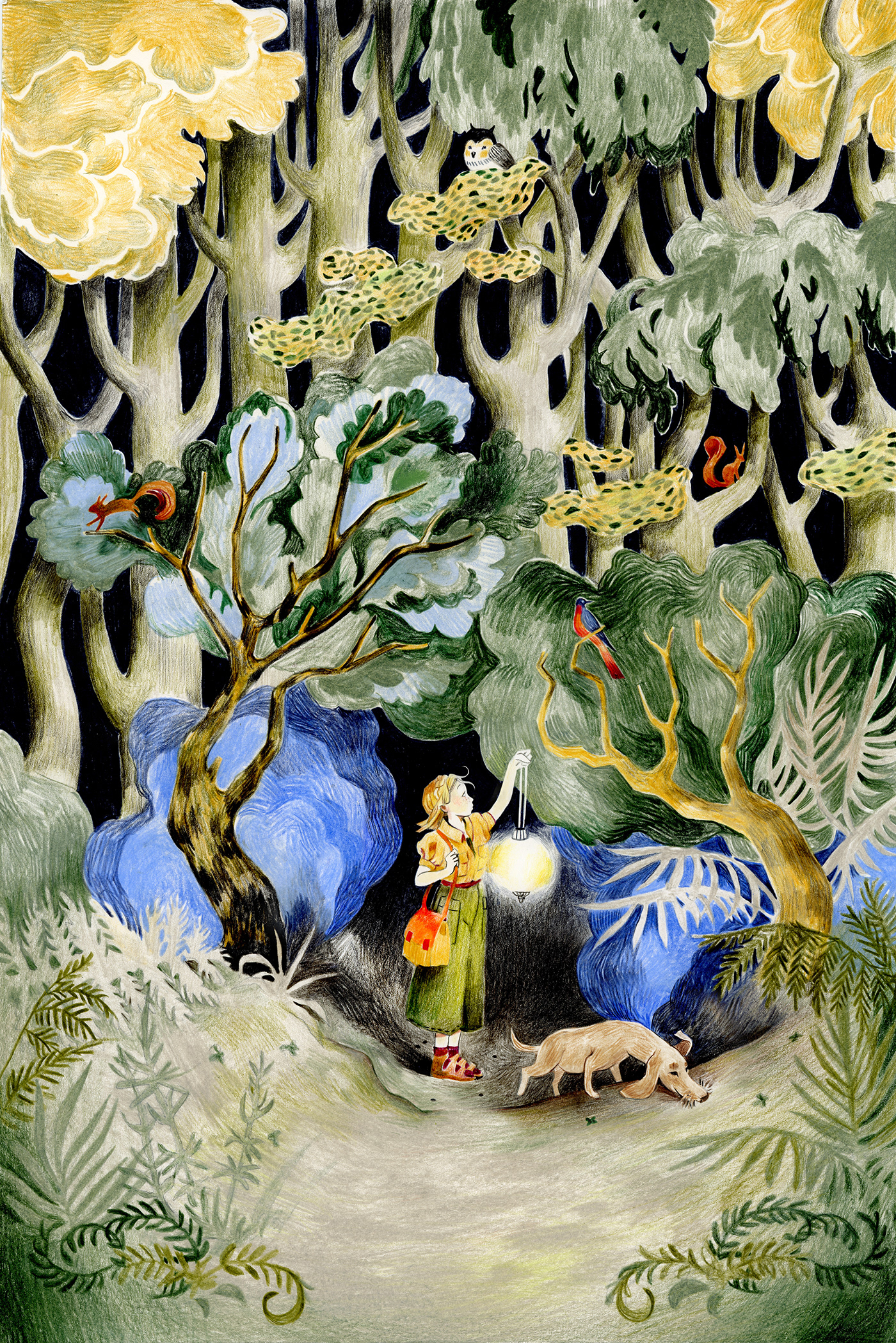 artwork book bookcover bookillustration children children's book edition illustrate ILLUSTRATION  Illustrator