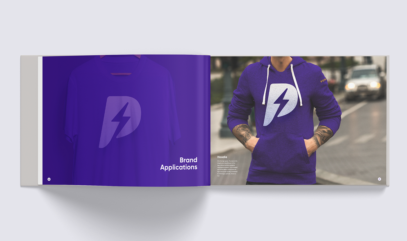 brand book branding  Style Guide logo design graphic design  identity