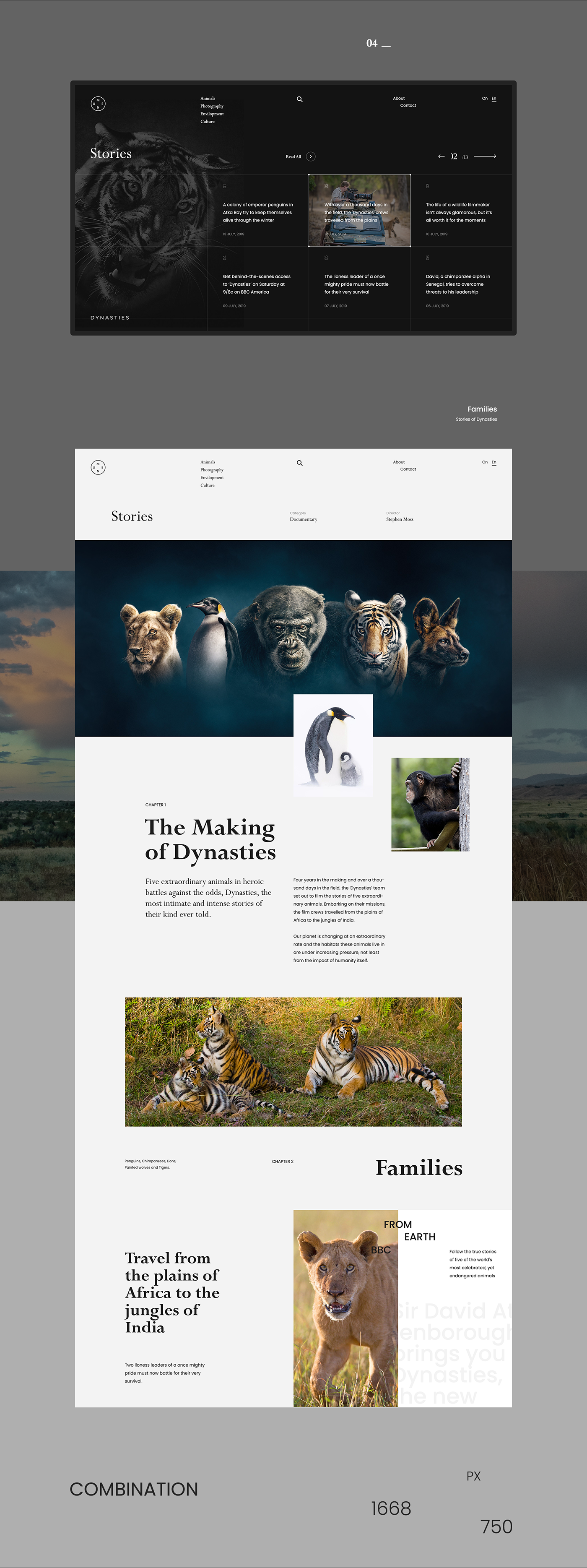 dynasties Documentary  biography Website BBC format concept design wildlife FIVE GREAT FAMILIES tablet