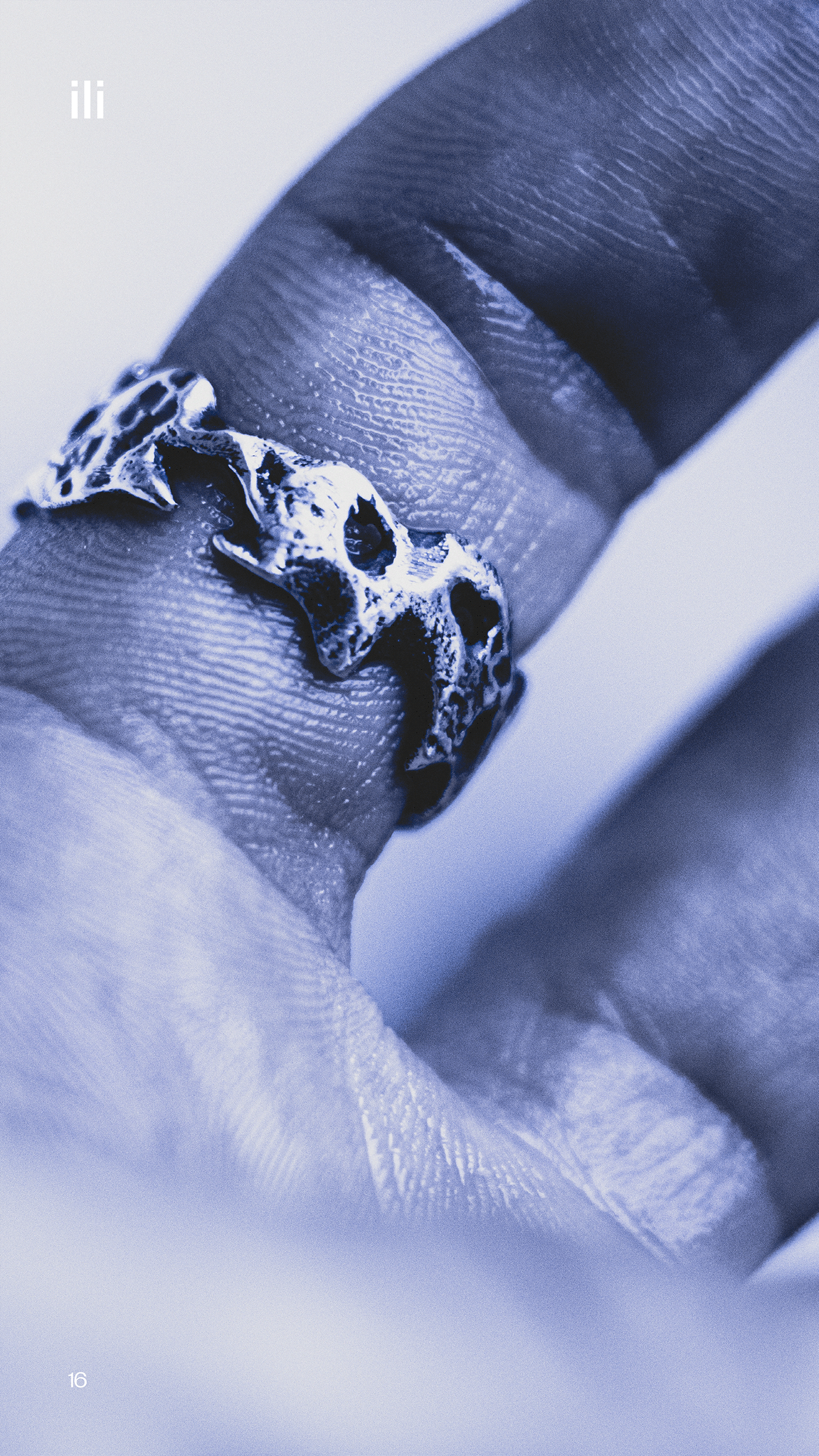 Jewelry Photography Jewelry Design  biomorphic stone dragon украшения минимализм ручная работа типографика предметная фотография