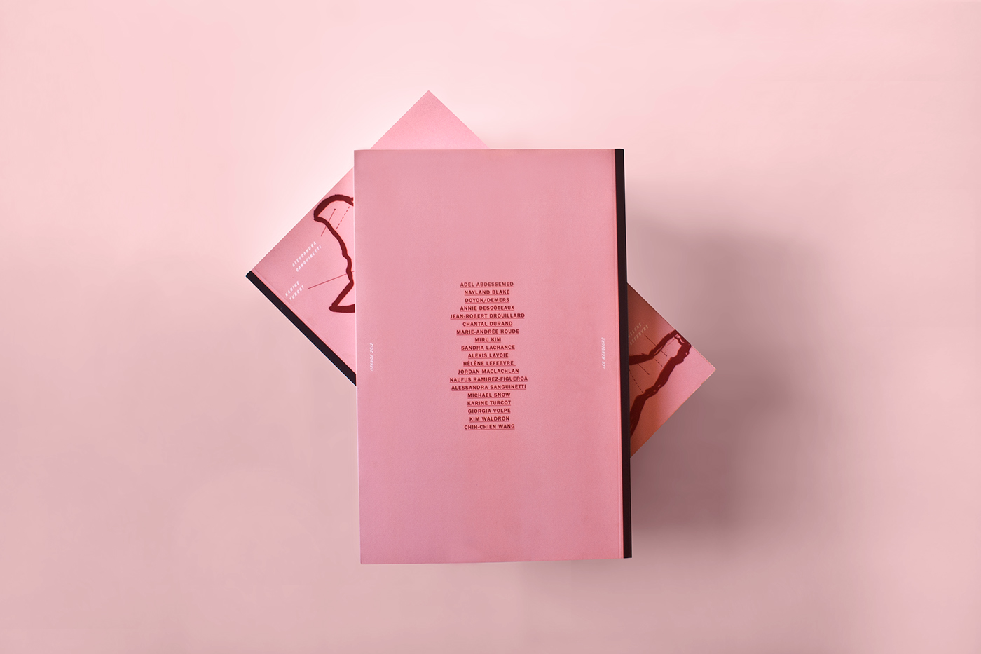 Food  contemporary art Eating  pig pink art book editorial