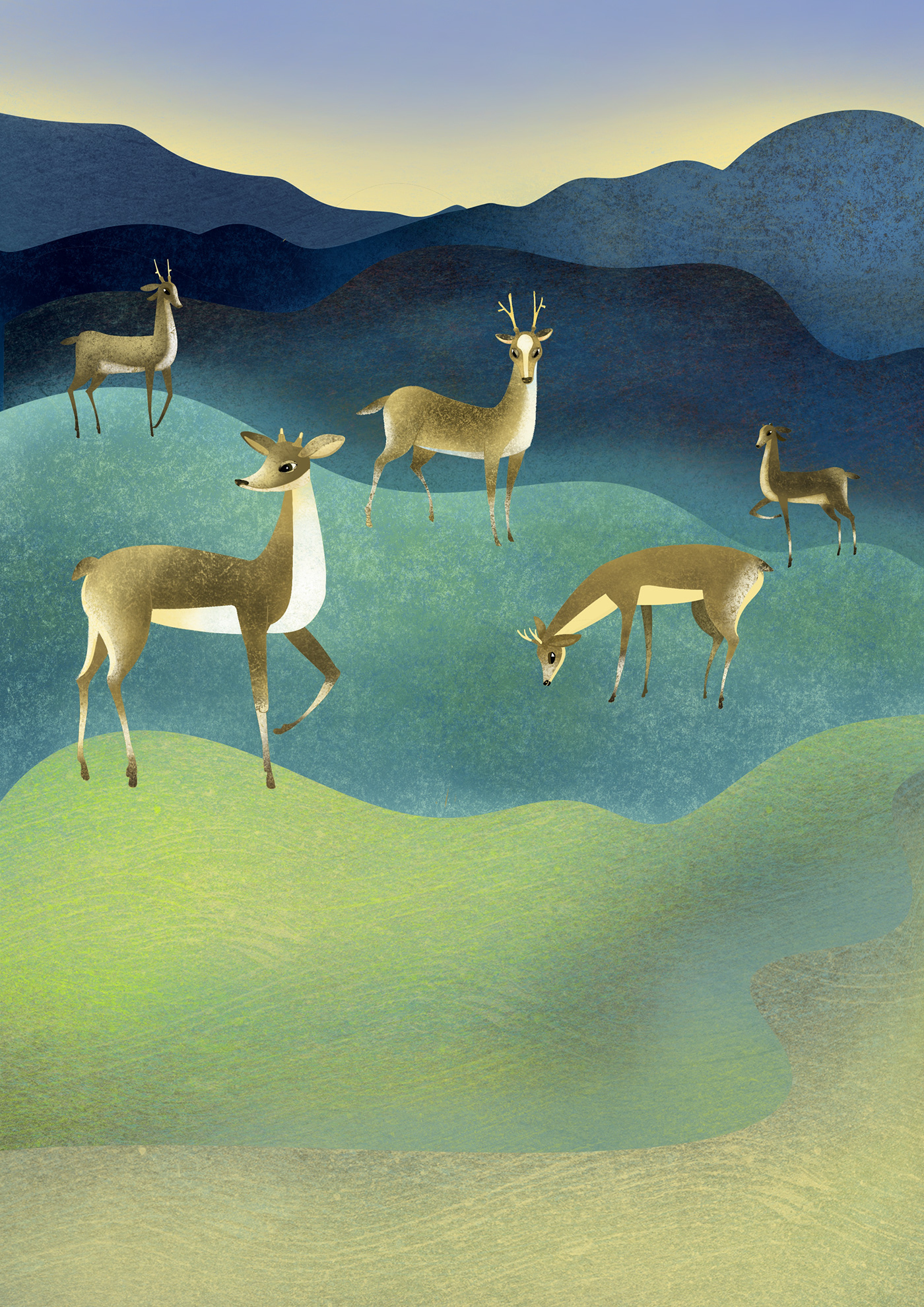 mountain deer animal ILLUSTRATION  Drawing  Digital Art  artwork digital illustration Procreate cartoon