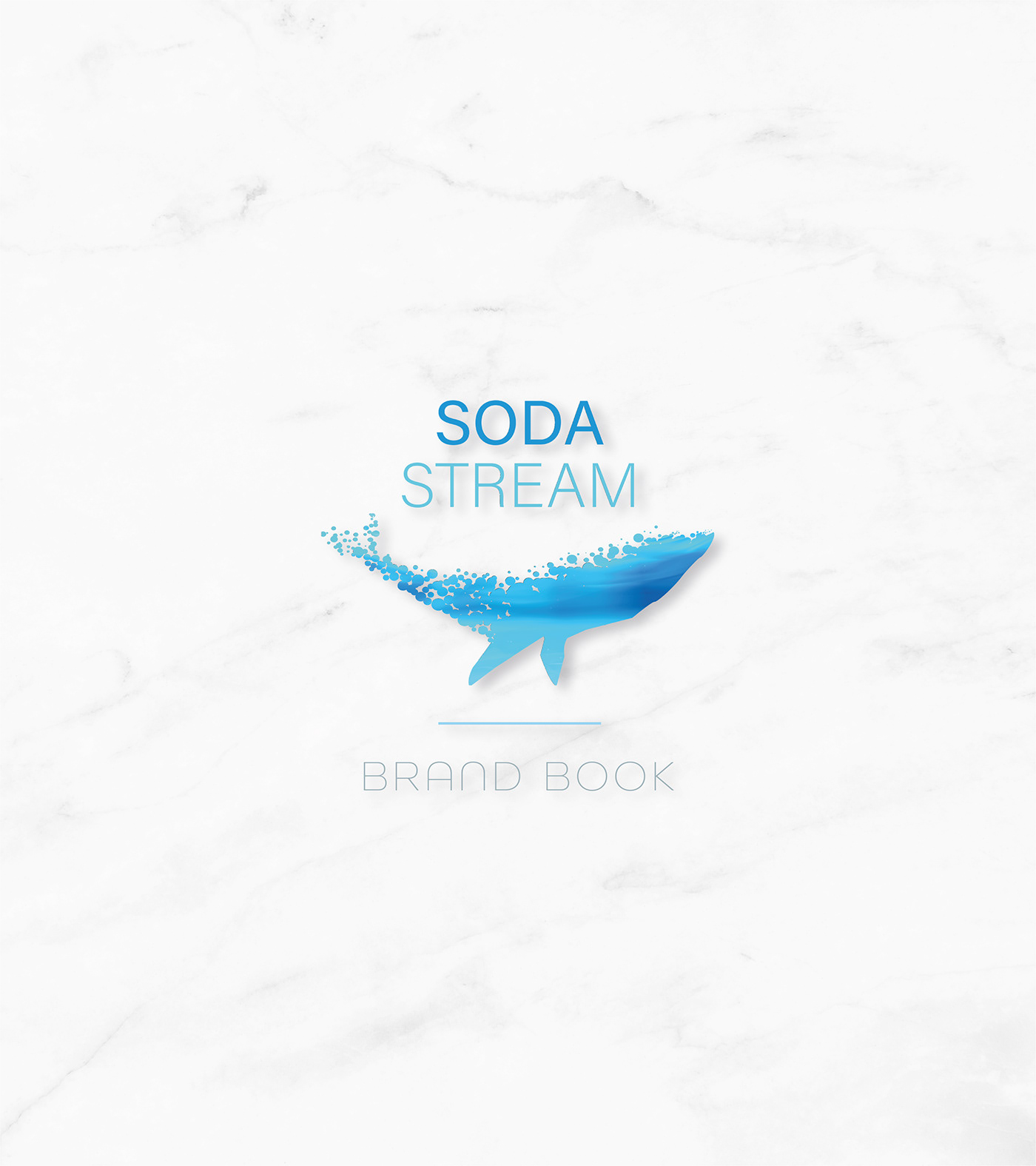 brand brand book branding  graphic Sodastream InDesign