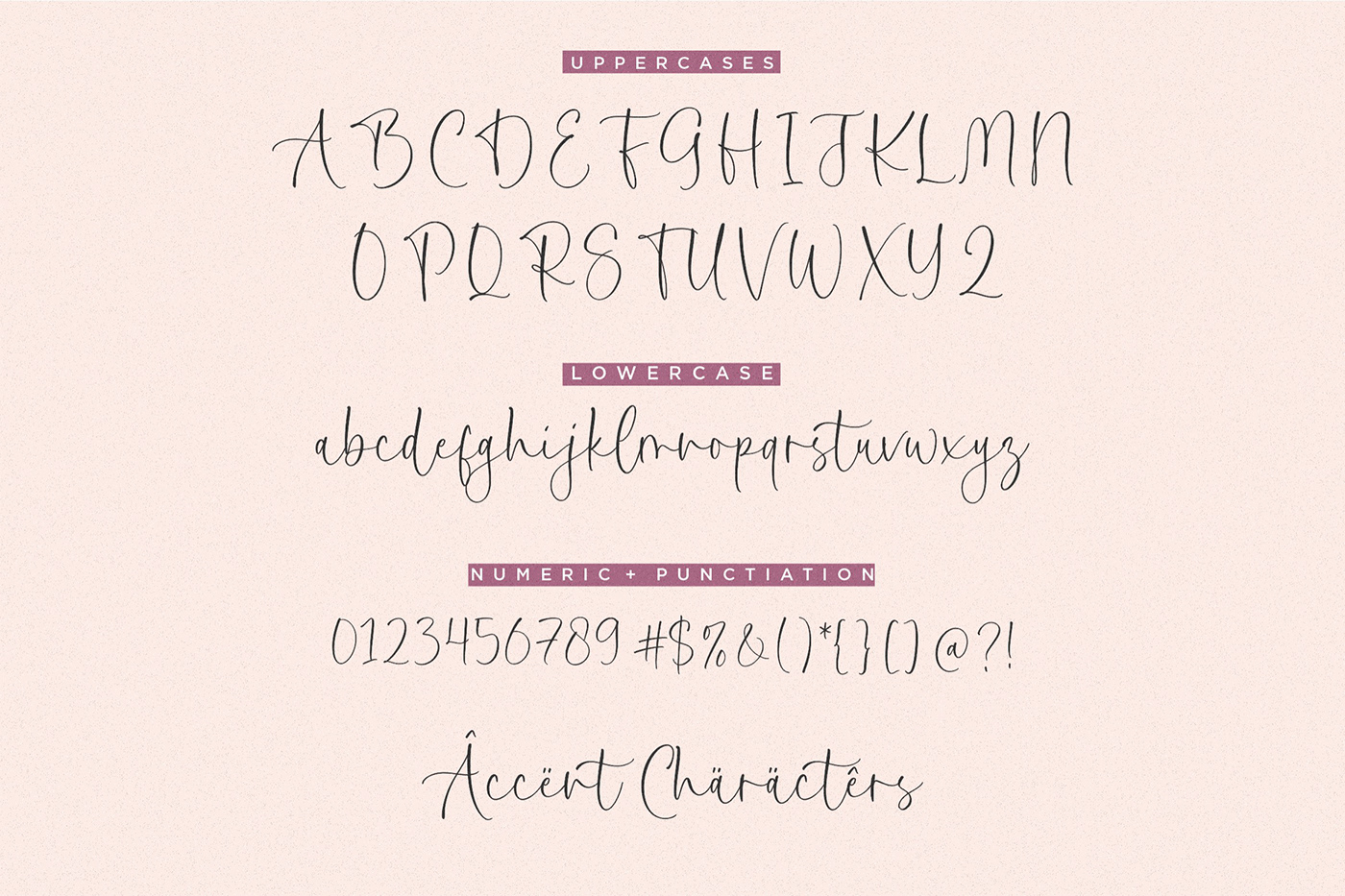 Calligraphy   display font font Handlettering handwriting lettering modern Script Typeface typography  