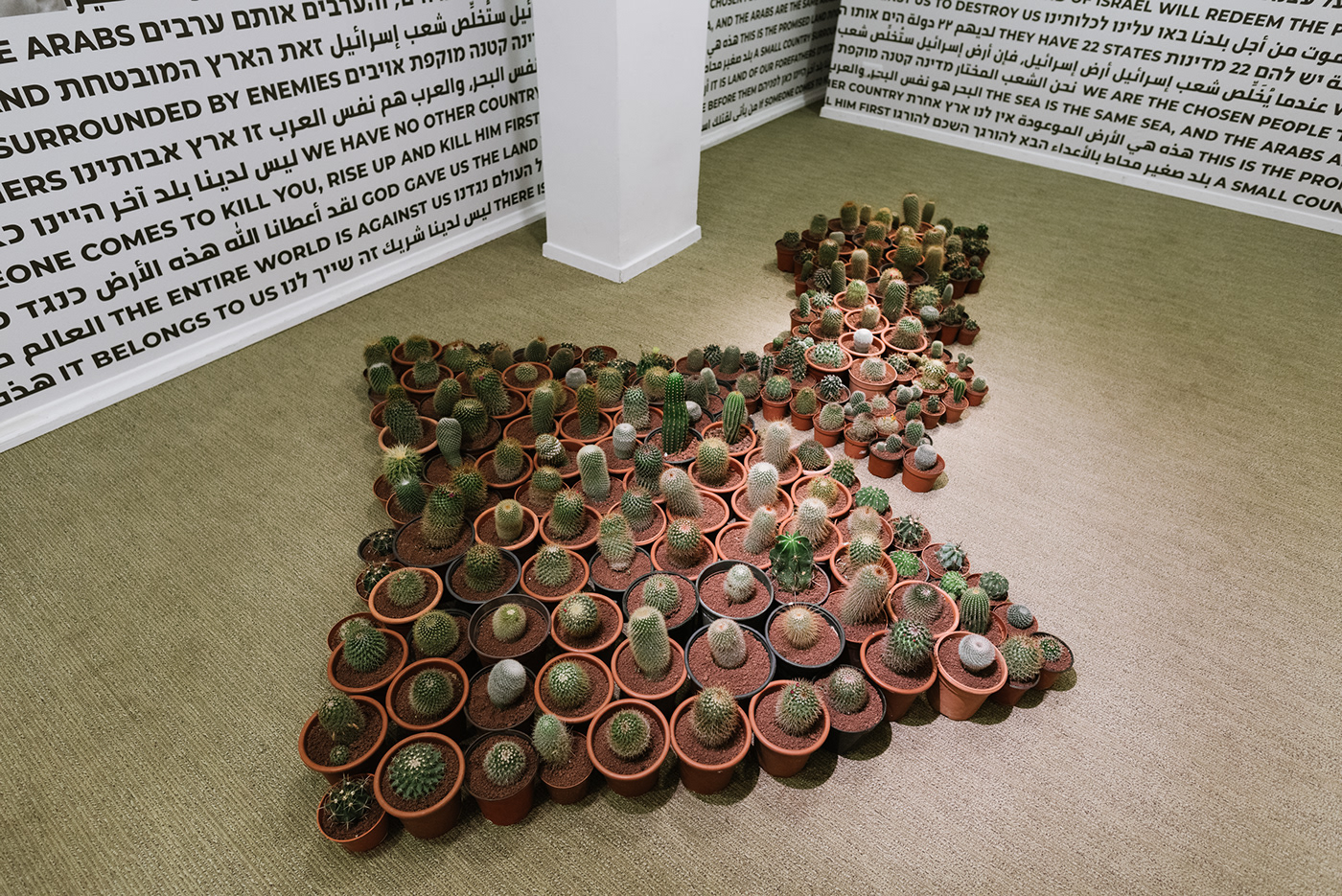 political design The Middle East conceptual art Exhibition  map cacti typography   hebrew arabic installation