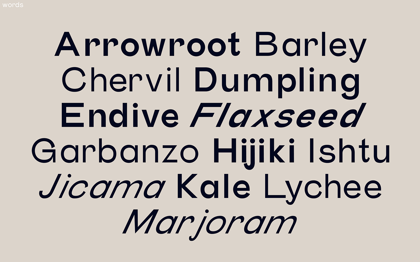 Cyrillic fonts free fonts freetype grotesque Latin type Typefamily Typioghraphy Ukraine Fonts