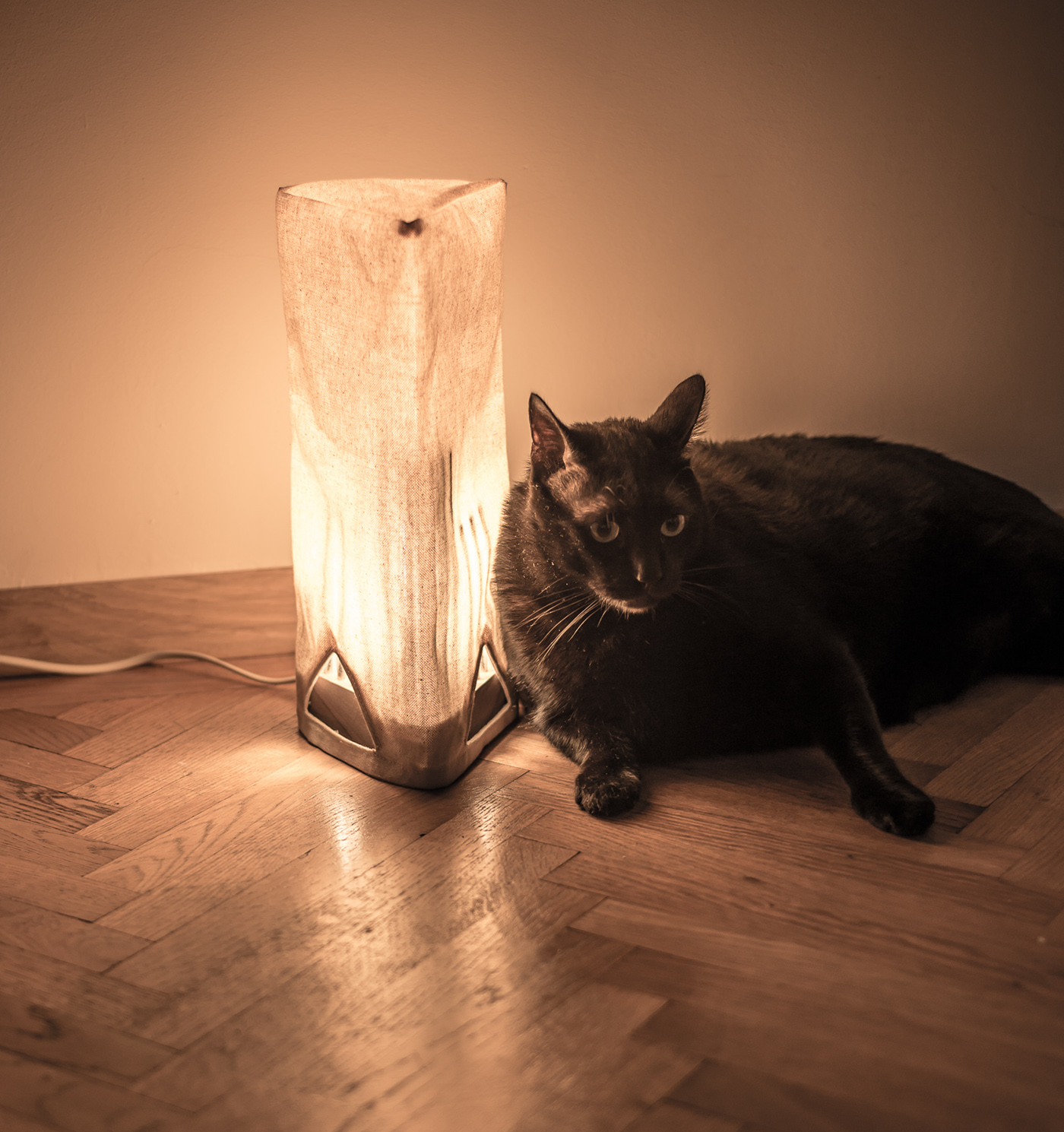 Lamp Christmas Gift corporate gift Custom Product Design luminaire metal and wood light