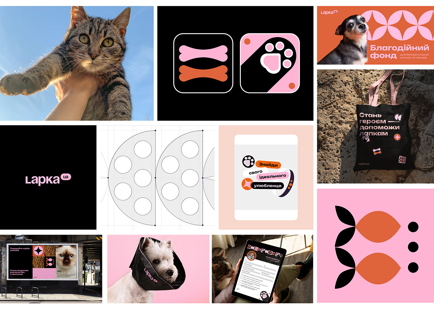 animals charity brand identity visual pets cute