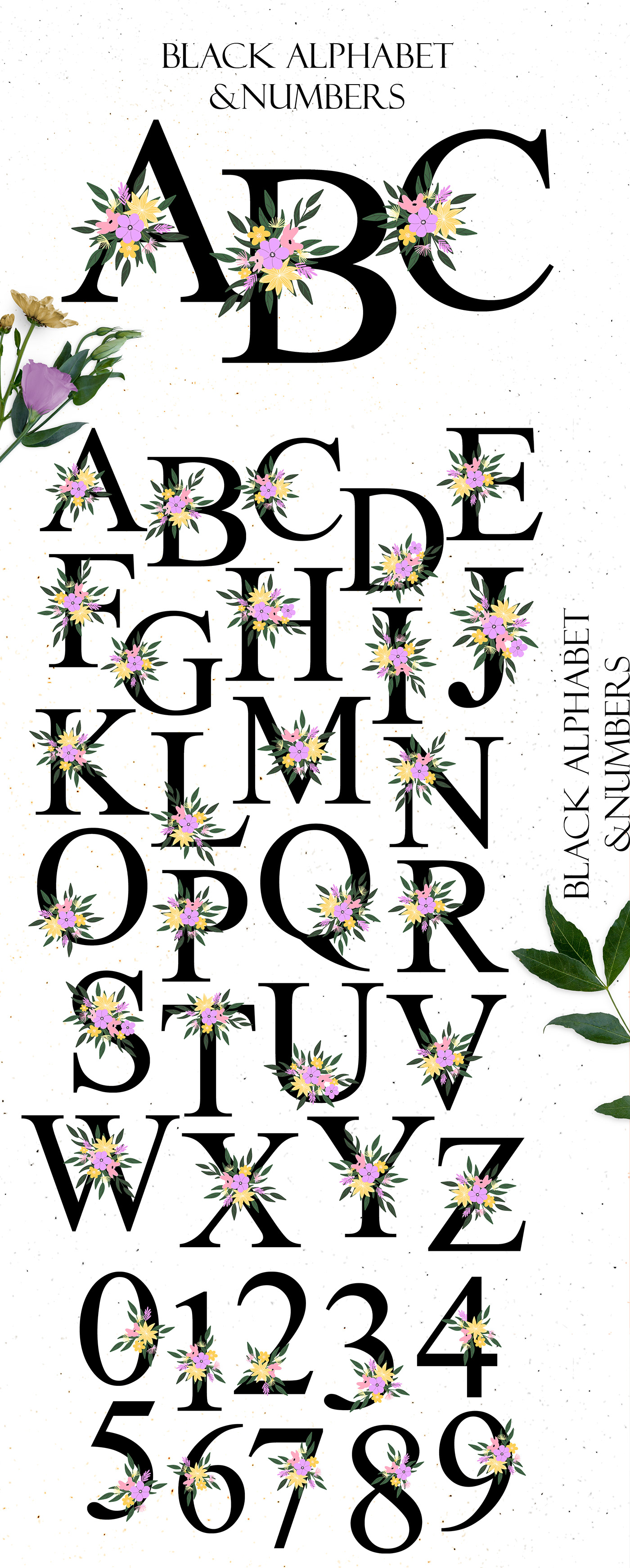 alphabet blossom branding  Flora flowers graphic frame pattern spring wedding Wreaths