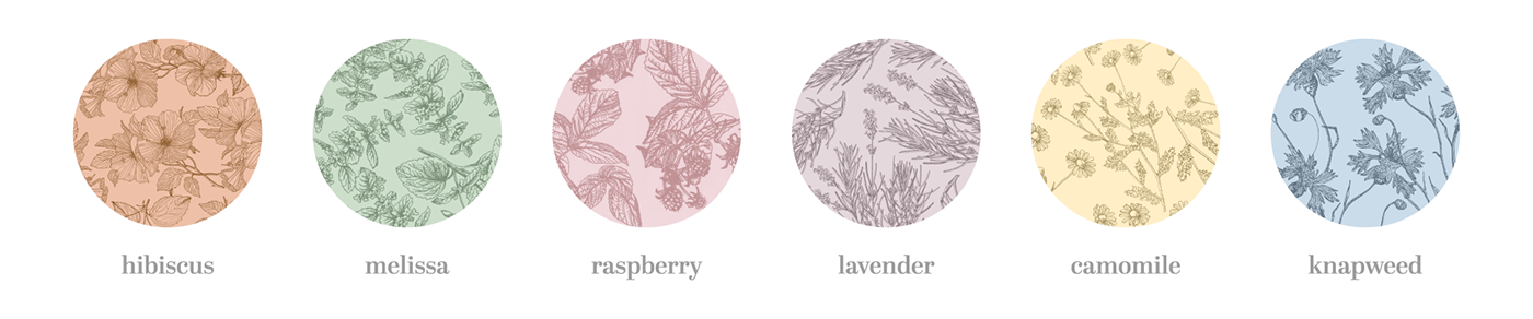 pattern Flowers redesign Packaging tea pastel colors ILLUSTRATION  print herbs