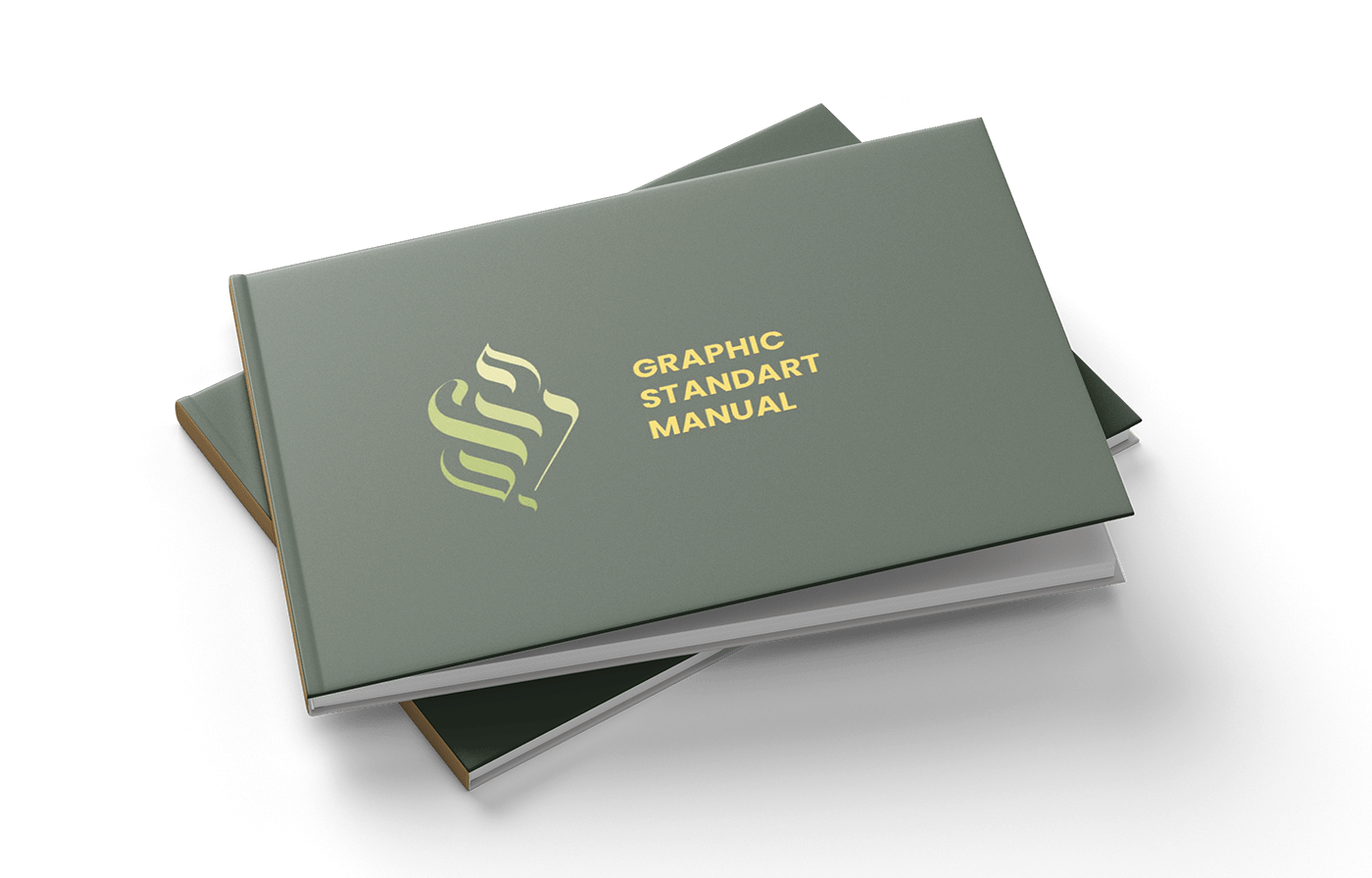 Brand Design brand identity Graphic Standard Manual GSM guidline book identity Logo Design logo designer visual visual identity