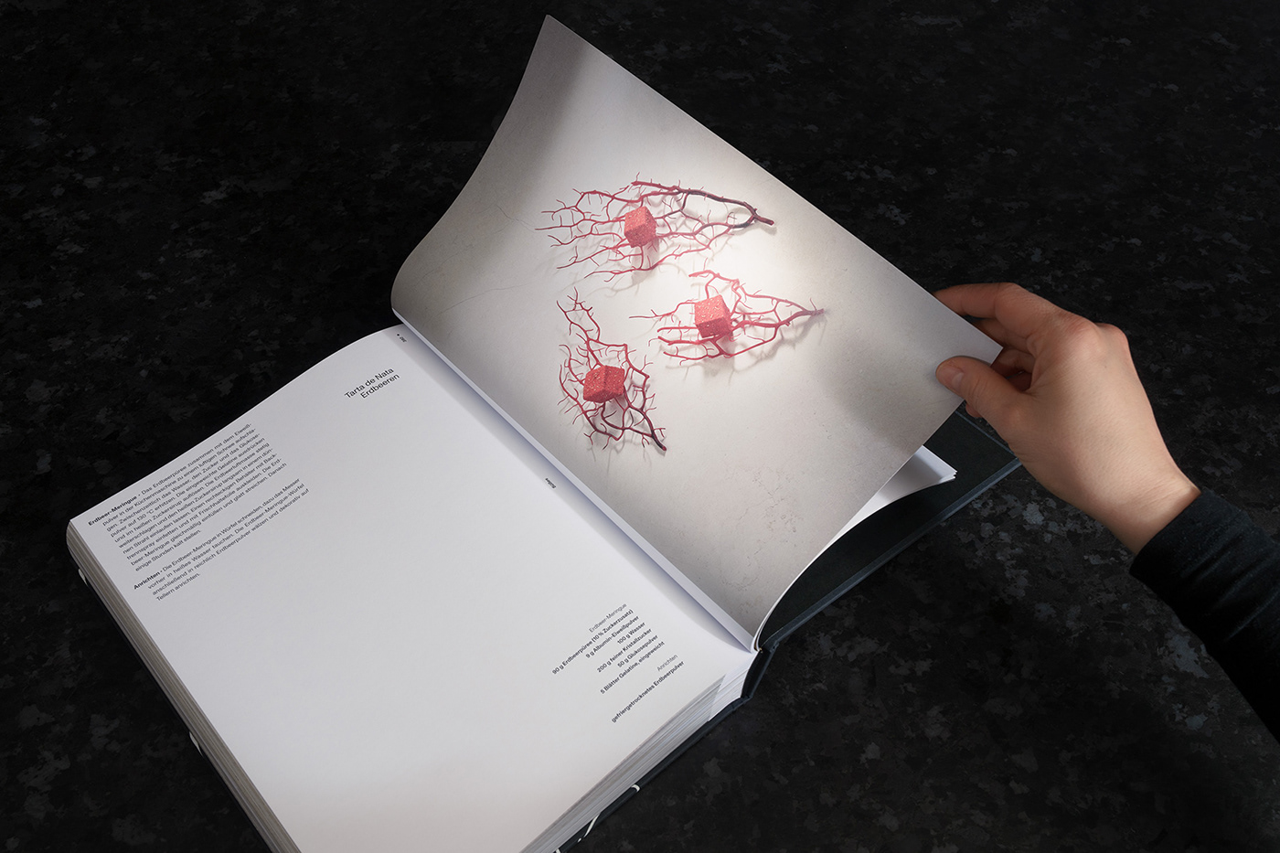 bestchefs Bookdesign coffeetablebook cookbook cookbookdesign favinipapers fedrigonipaper graphicdesign recipes wirsindartisten