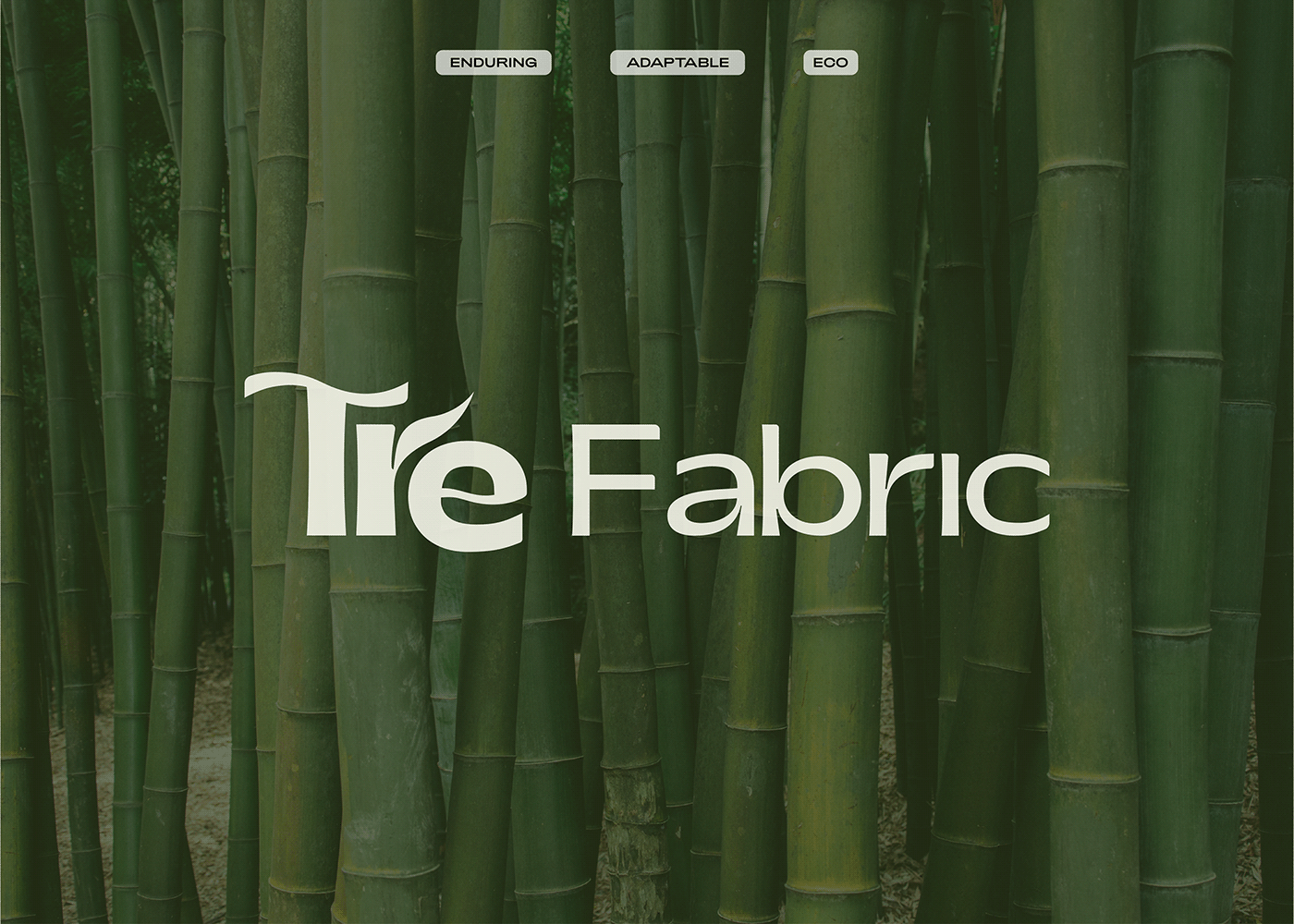 graphic design  brand identity Logo Design Social media post fabric bamboo eco-friendly Sustainable
