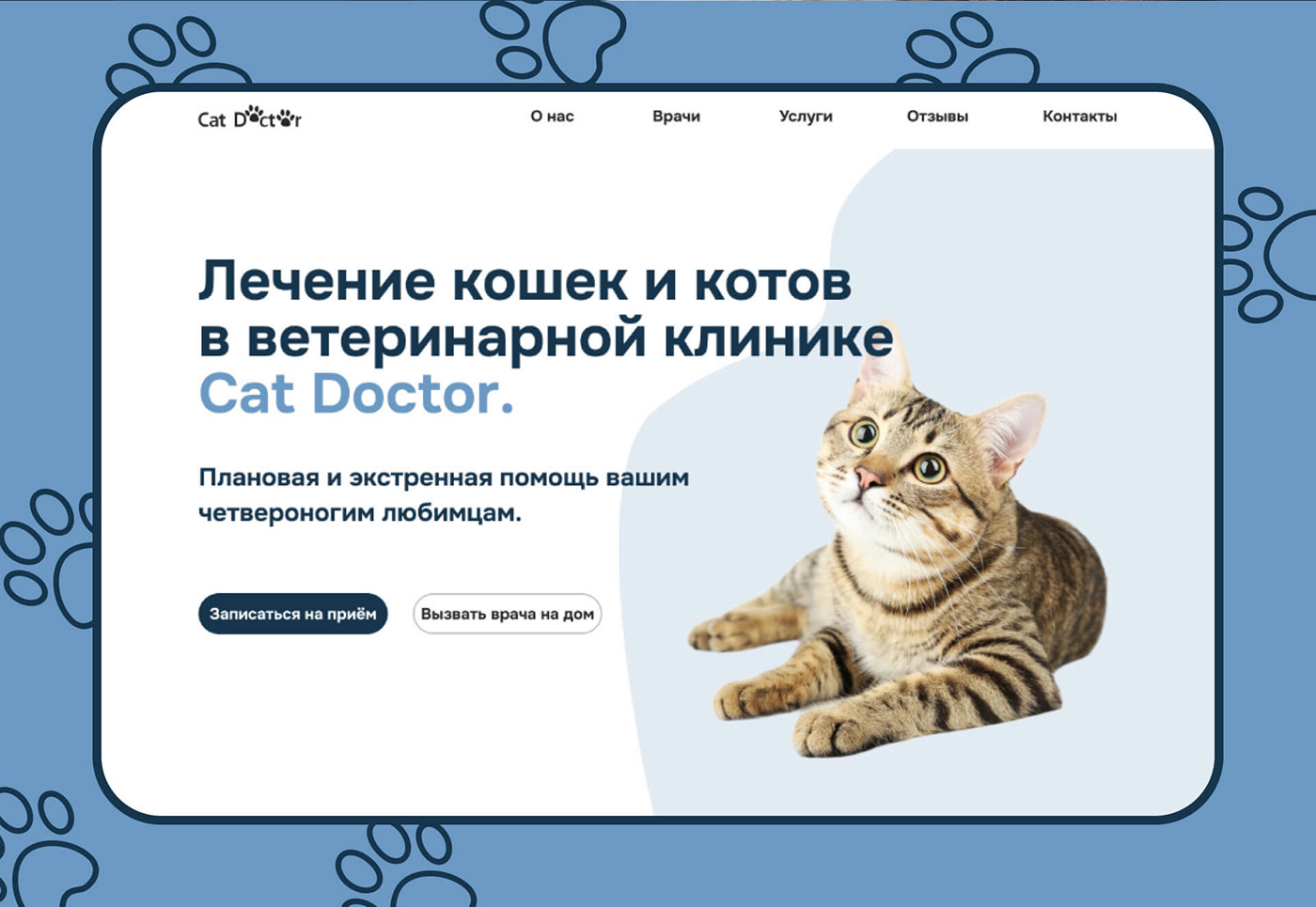 Web Design  UI/UX veterinary cat doctor Website UX design Web user interface landing page Figma