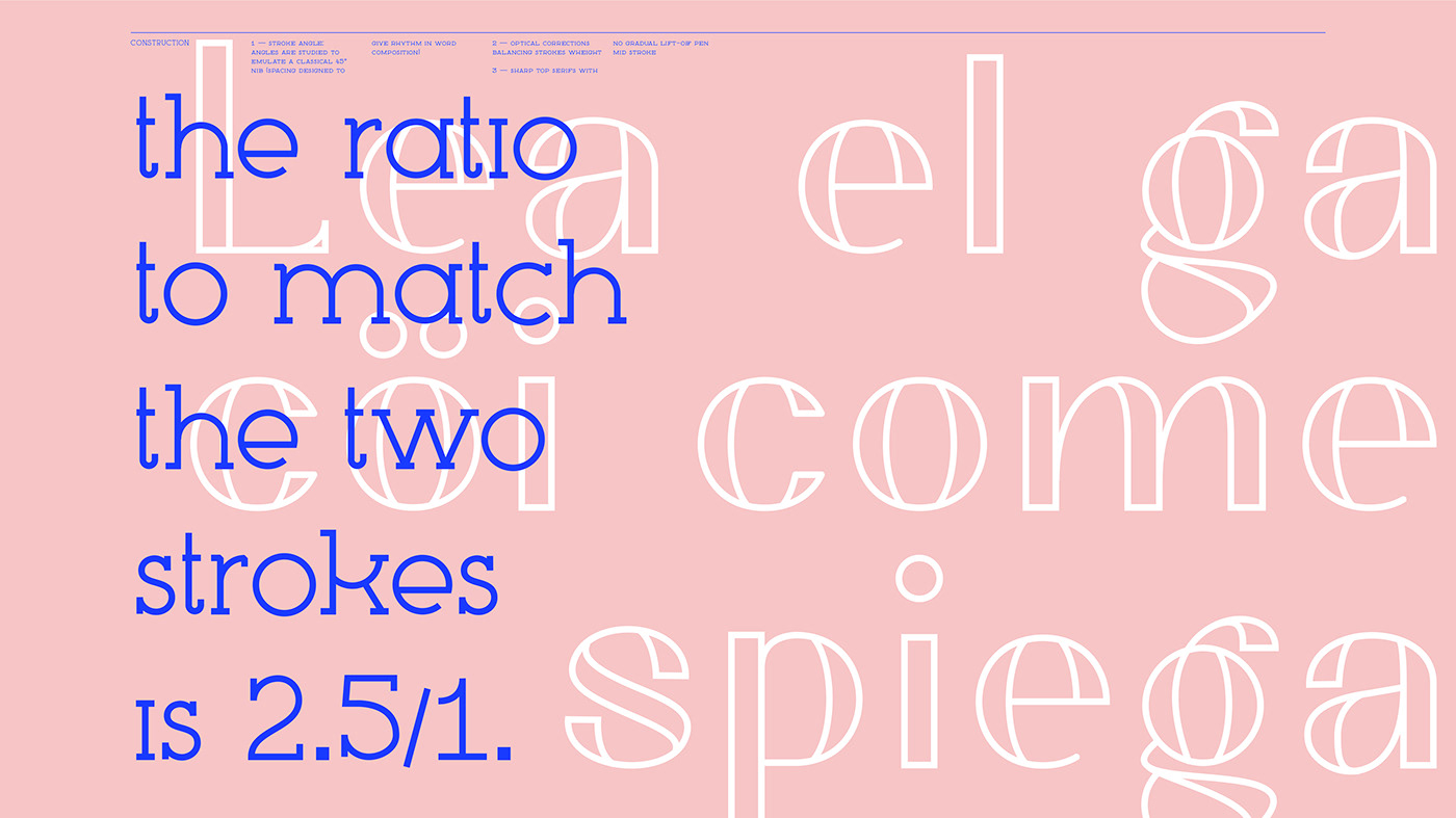type design typography   adobe illustrator typography design lettering font Display serif sans elegant