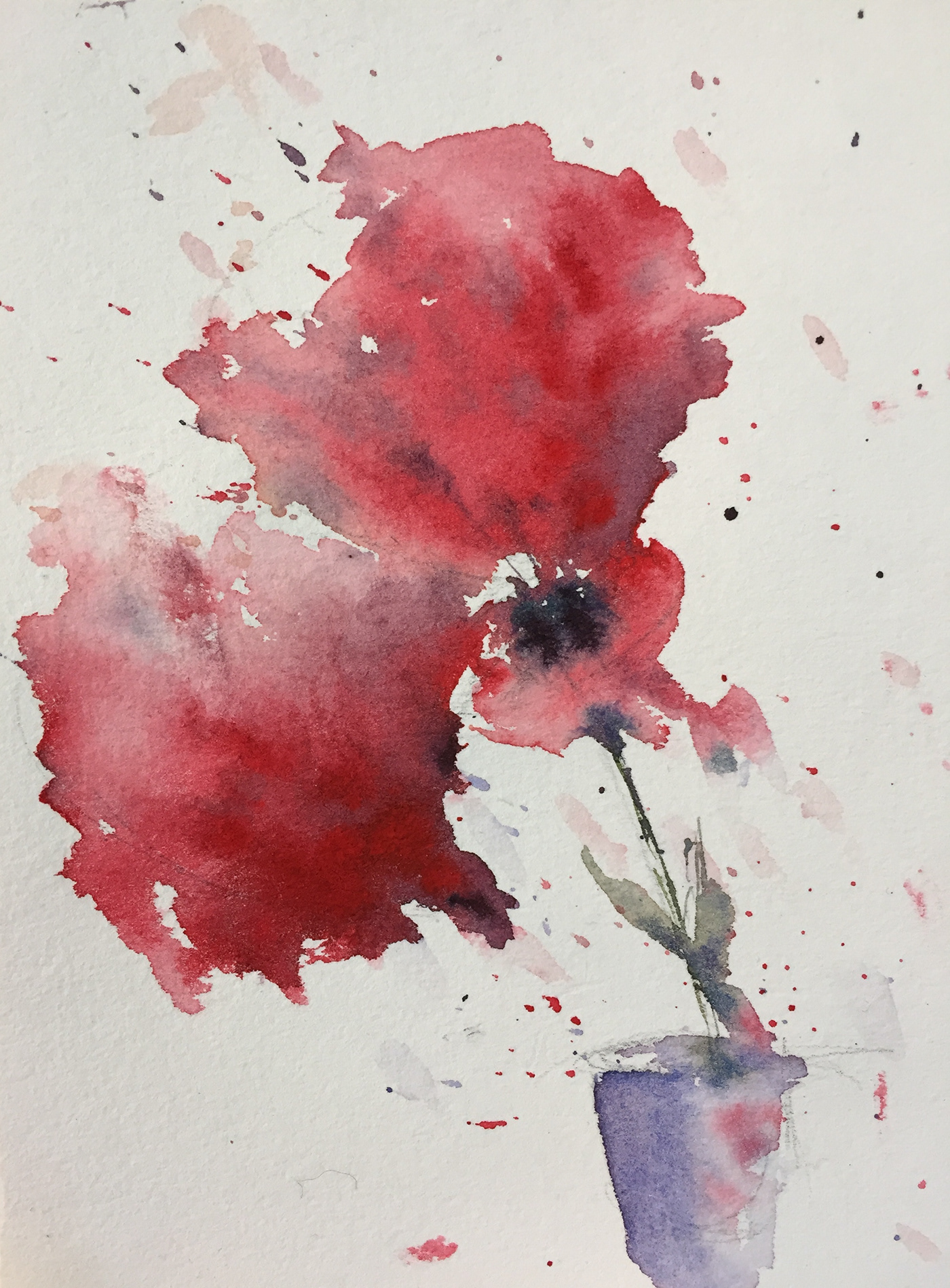 watercolor watercolour flower red stilllife