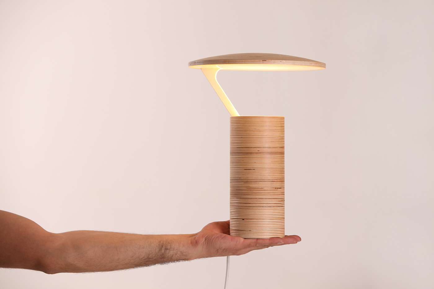 Armenia DZZZ Lamp lamp design litghing litghing design plywood product product design  Yerevan
