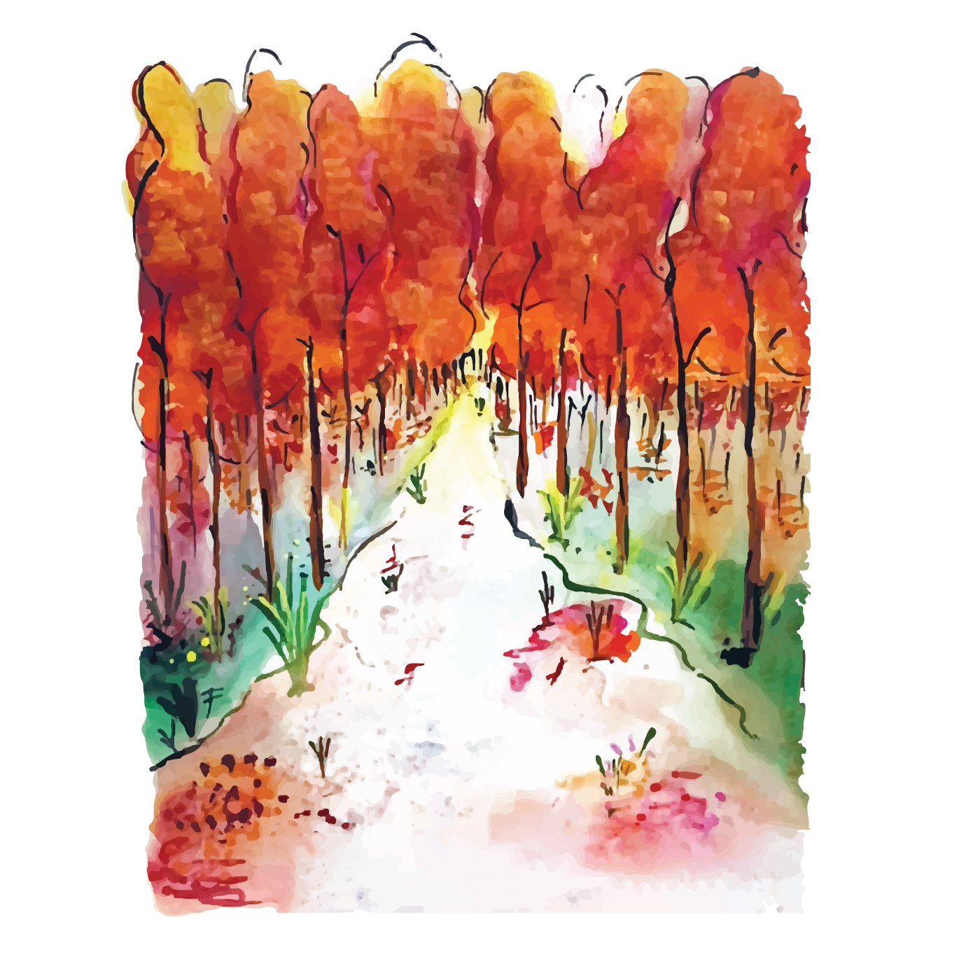 painting   Drawing  ILLUSTRATION  Digital Art  artwork Nature Landscape autumn forest арт
