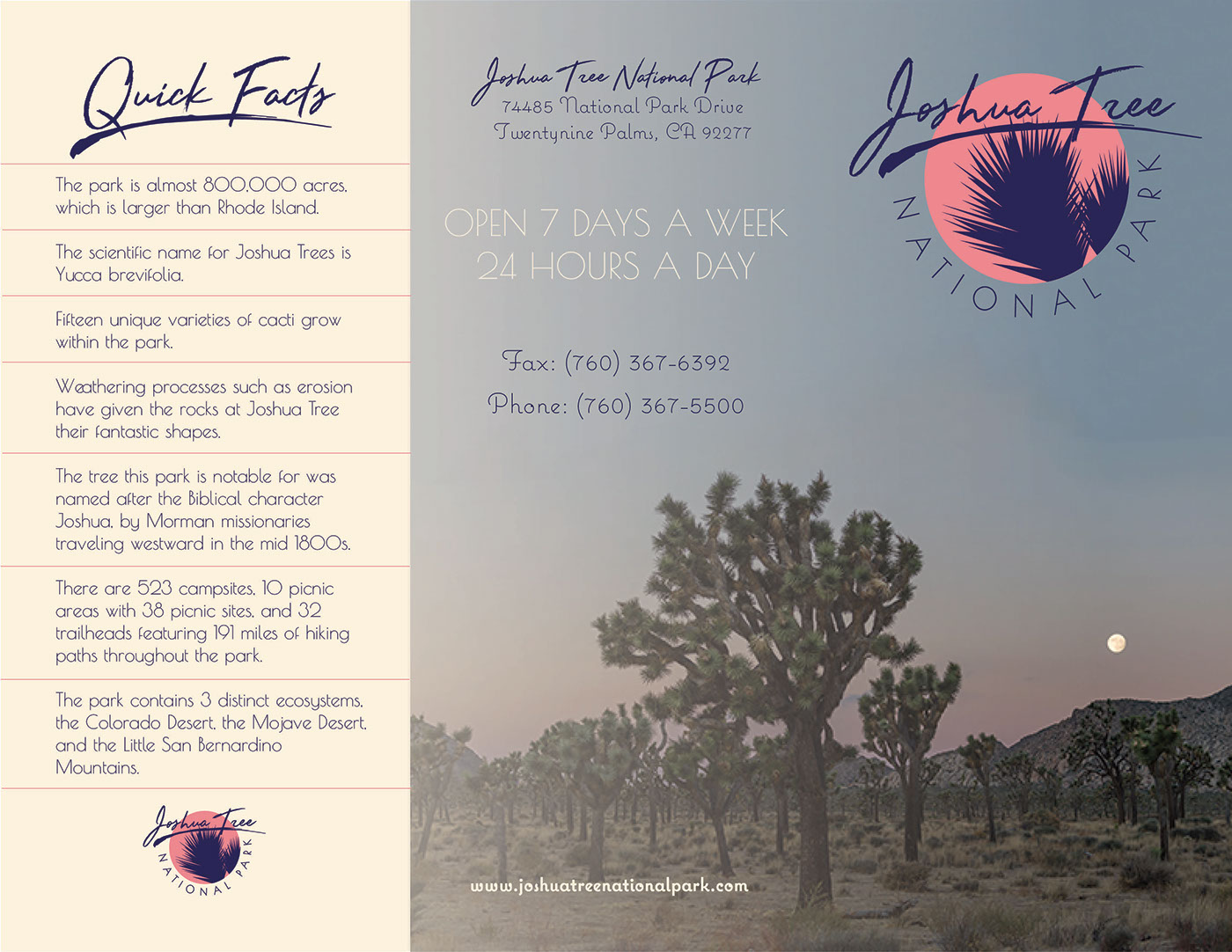 joshua tree Logo Design sunset California brochure front-end web