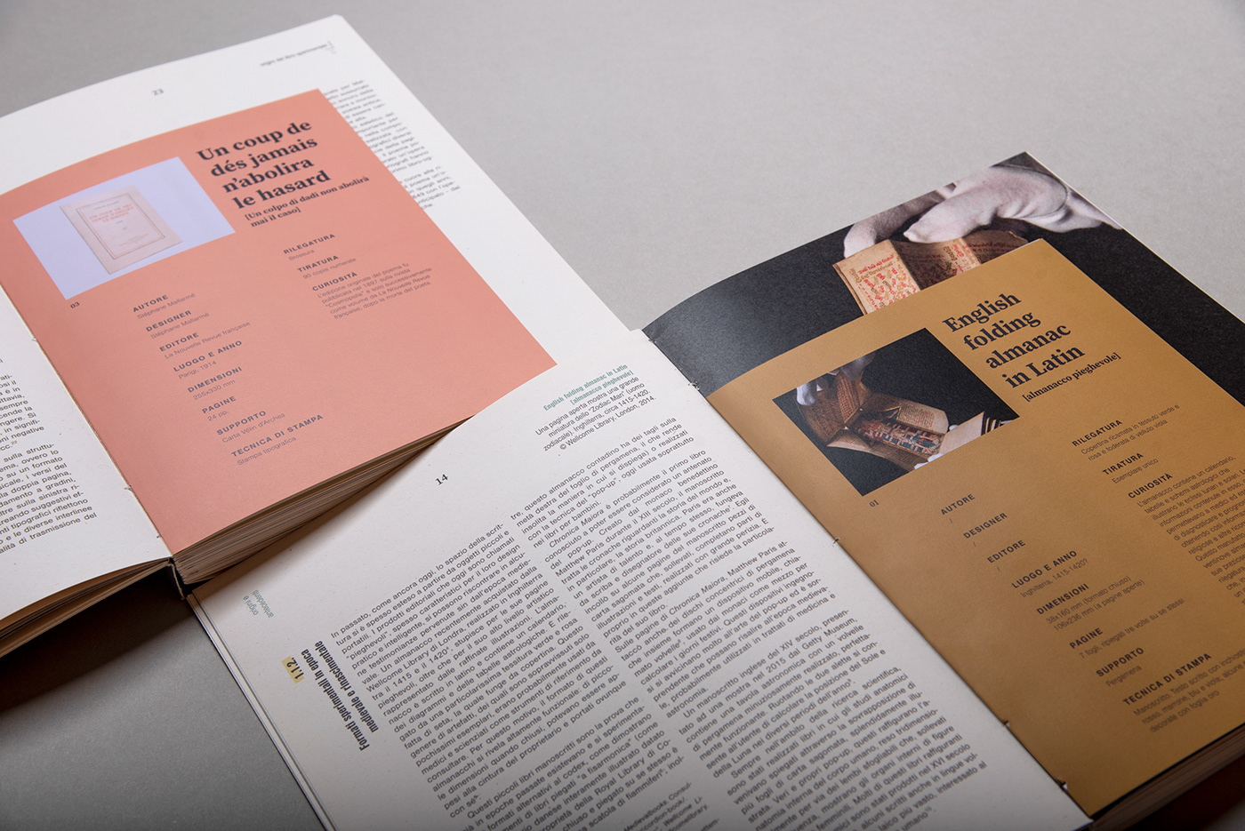 book book design editorial InDesign Layout libro magazine print thesis typography  