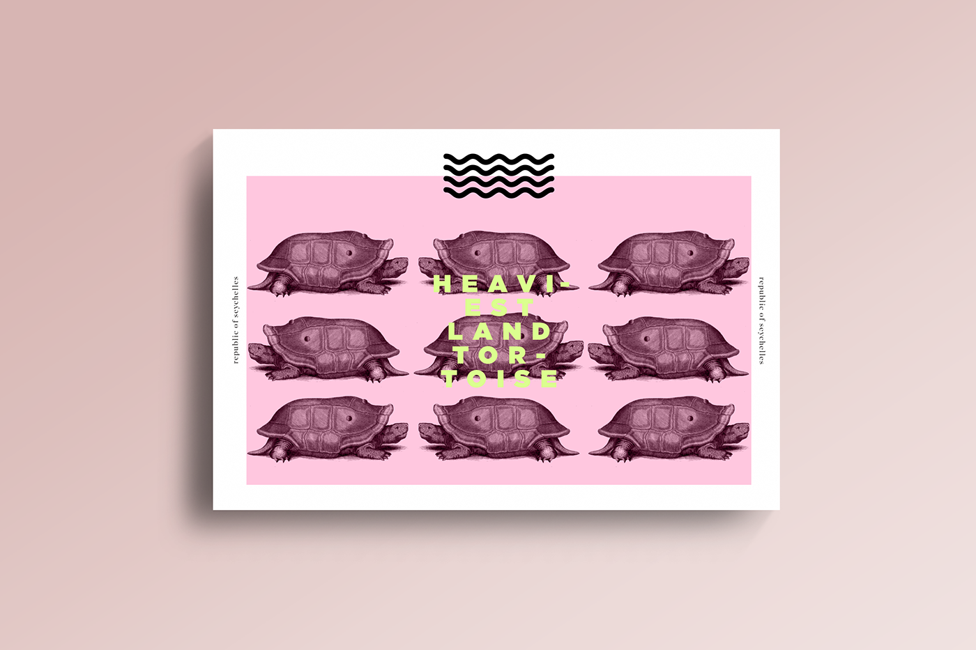 design Seychelles postcard print tortoise system postcard system udem