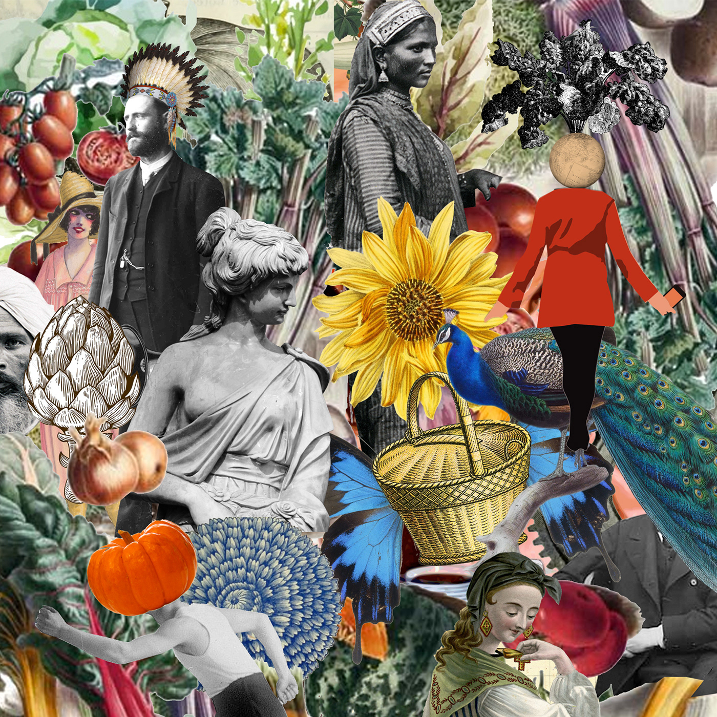Design Graphic ILLUSTRATION  collage identity campus fruits légumes amap paniers LES PETITS PANIERS agriculture